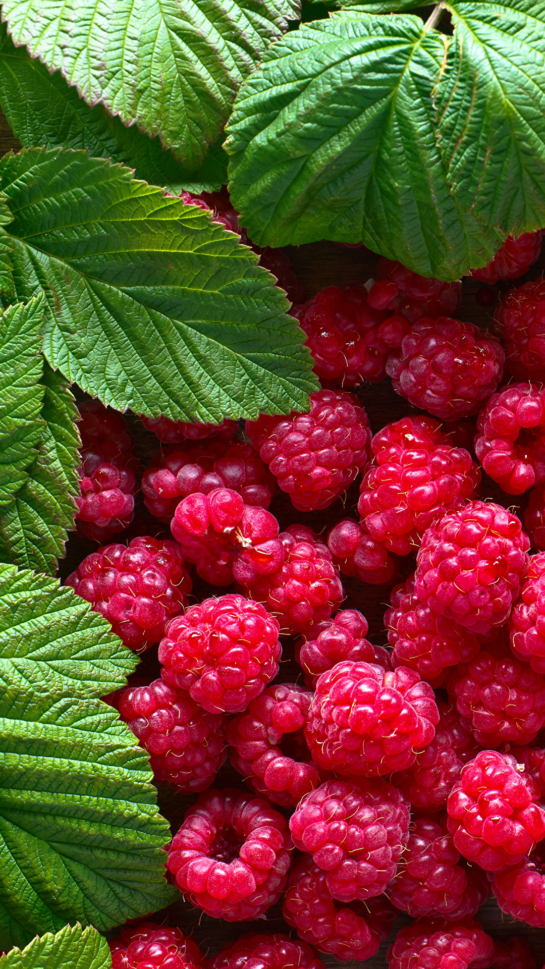 1080x1920 Desktop Wallpapers Leaf Raspberry Food Many 1080x1920