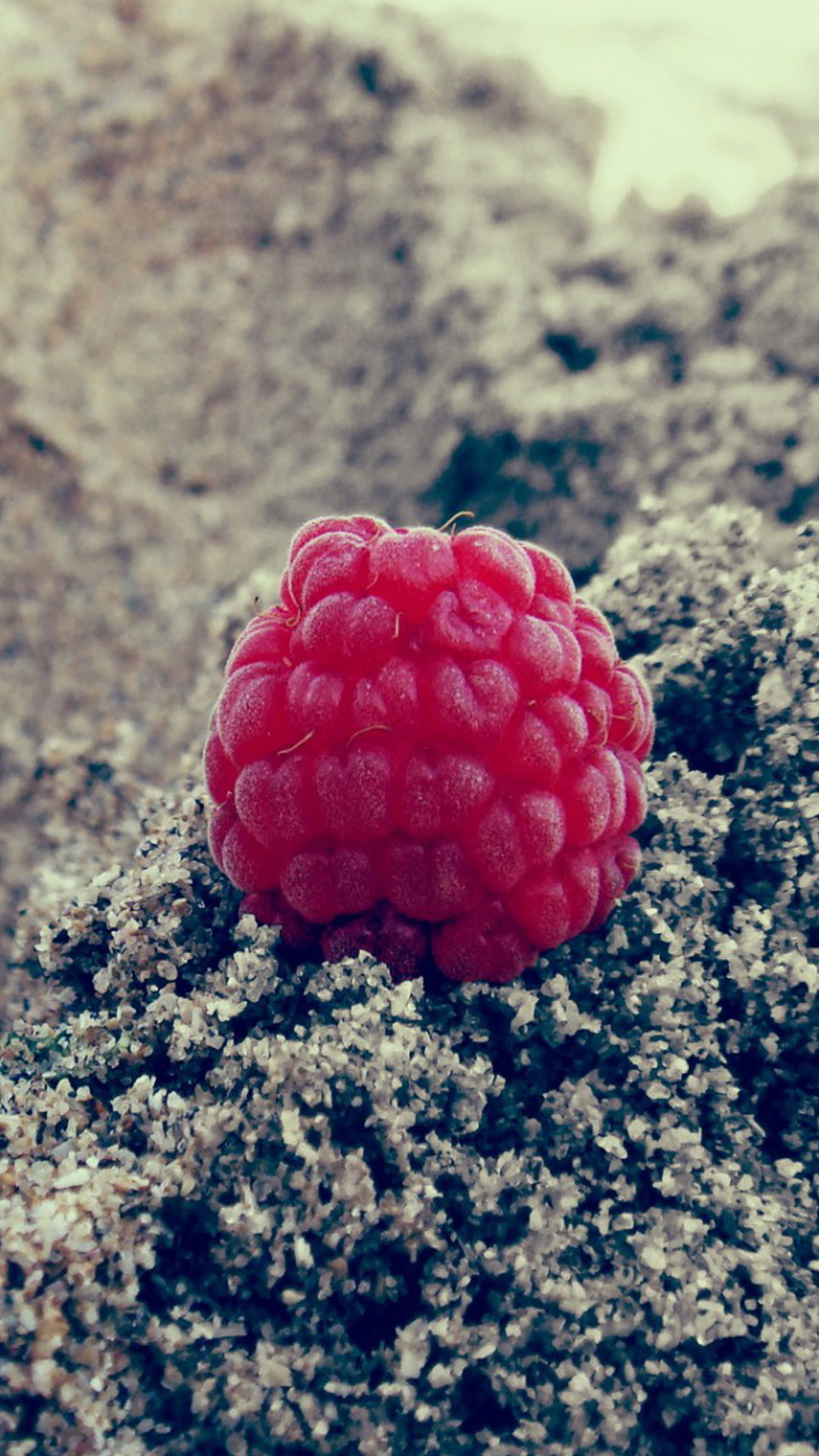 1080x1920 Raspberry Wallpaper Iphone - Raspberry