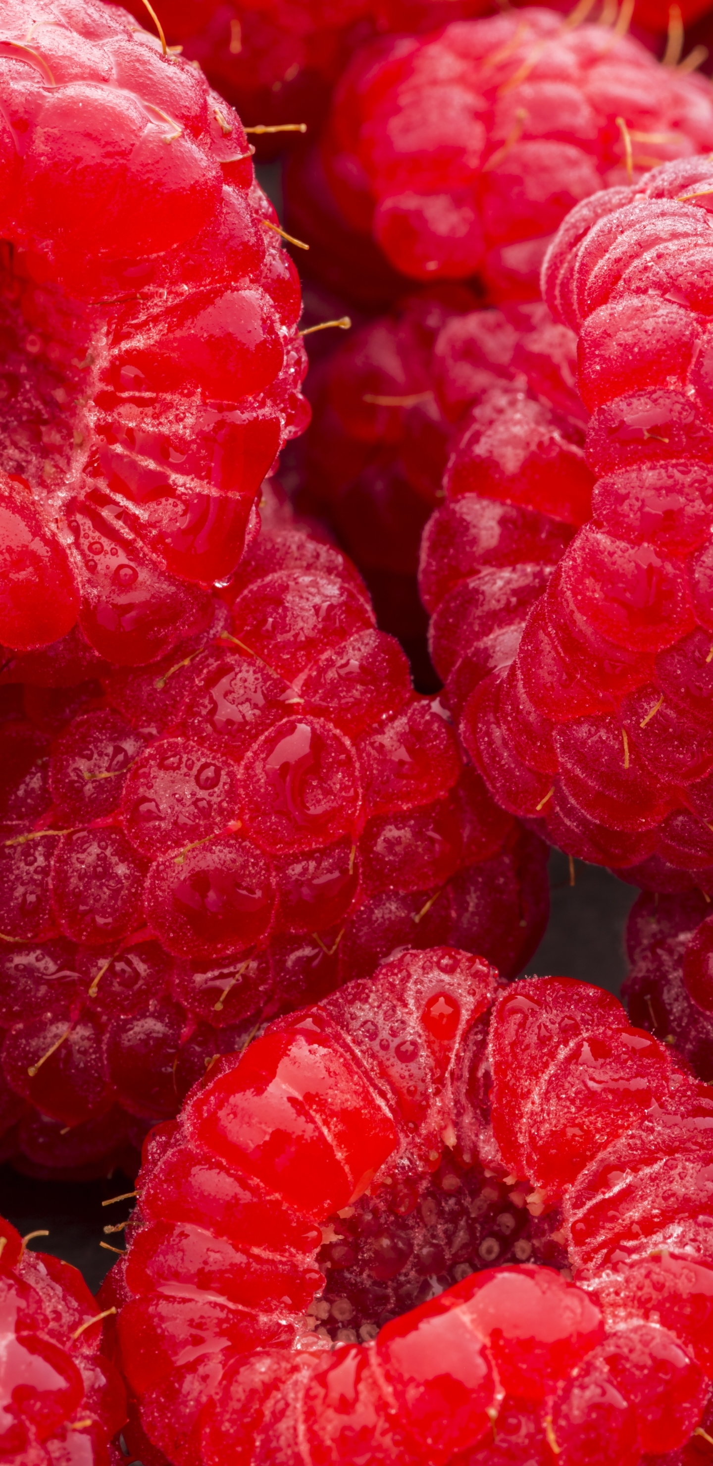 1440x2960 Food / Raspberry (1440x2960) ID обоев: 720823 - Mobile Abyss