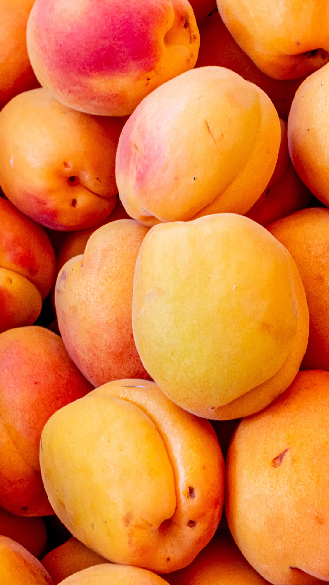 1080x1920  Picture Абрикос Еда Многие крупным планом 1080x1920