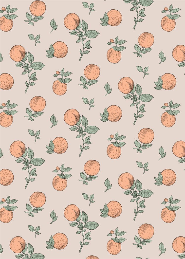 750x1050  Apricot Wallpapers - Лучшие бесплатные фоны с абрикосом - WallpaperAccess