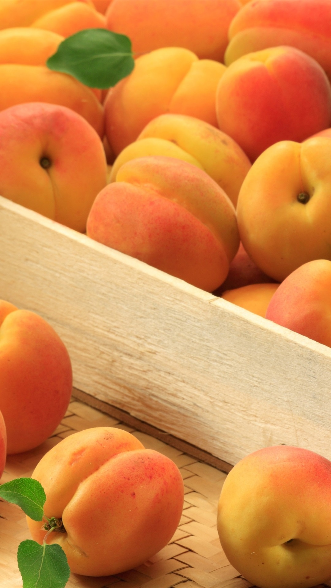1080x1920   Многие абрикосы спелые фрукты 1080x1920 iPhone 8/7/6 / 6S Plus обои фоновое изображение изображение 