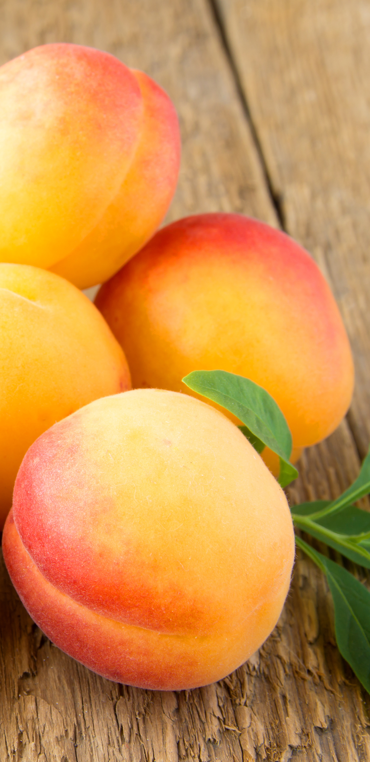 1440x2960   Еда / Абрикос (1440x2960) ID обоев: 764773 - Mobile Abyss