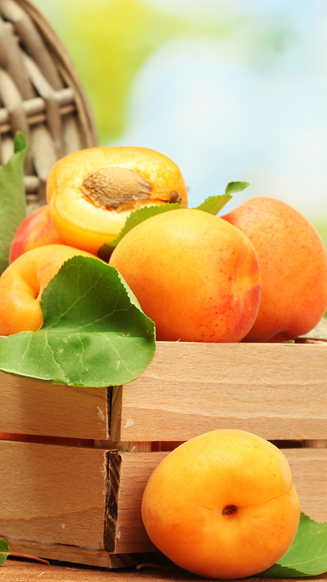 1080x1920  Images Apricot Food 1080x1920