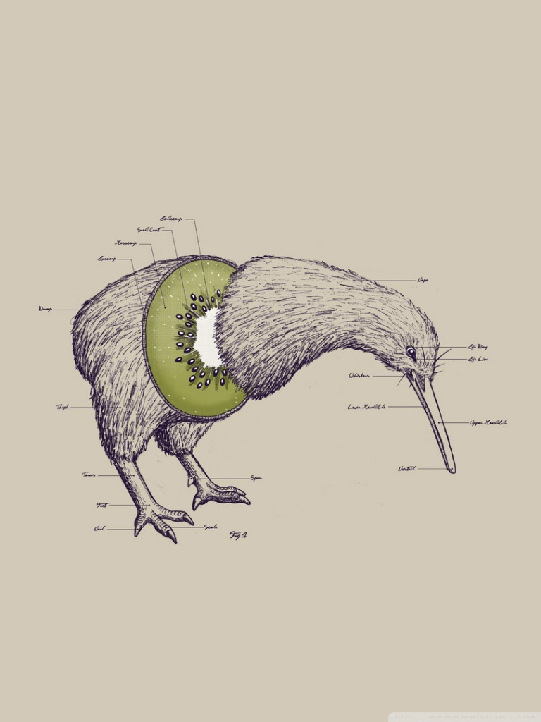 768x1024  Free Download k фрукты лето пастельные тона обои заставка iphone [830x1706] для рабочего стола Mobile \ u0026 Tablet | Исследуйте 37+ обоев сине-зеленое лето | Синие Зеленые Летние Обои Зеленые  Голубые