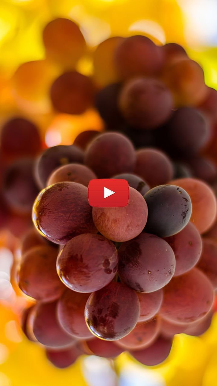 720x1282  red grape wallpaper | красный виноград фотография фрукты | красный виноград фотография красивый - # фрукты # виноград # виноград # фотография # ж… в 2020 | Виноград Виноград обои Красный виноград