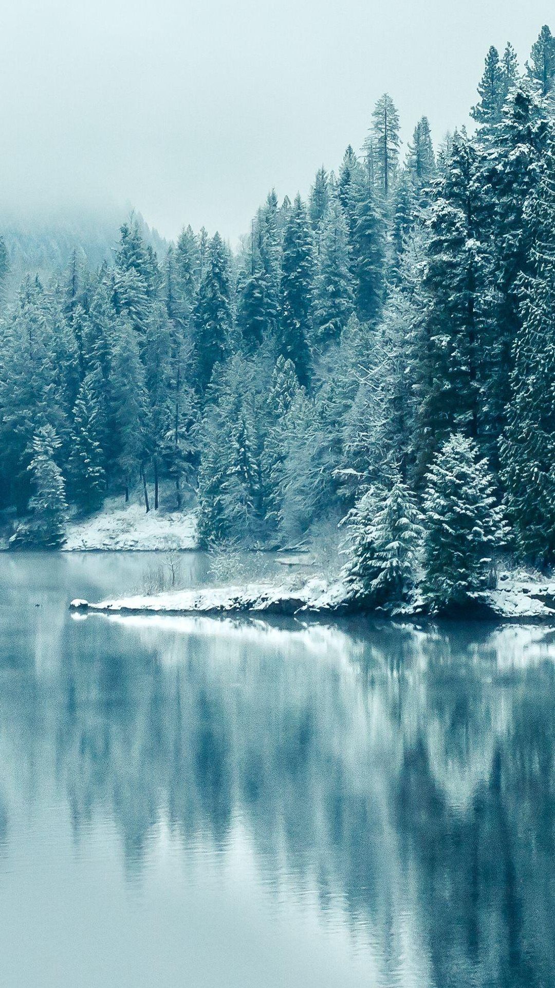 1080x1920  Turquoise Pine Forest Lake Snow | Зимние обои Зимние обои HD Обои для Iphone winter