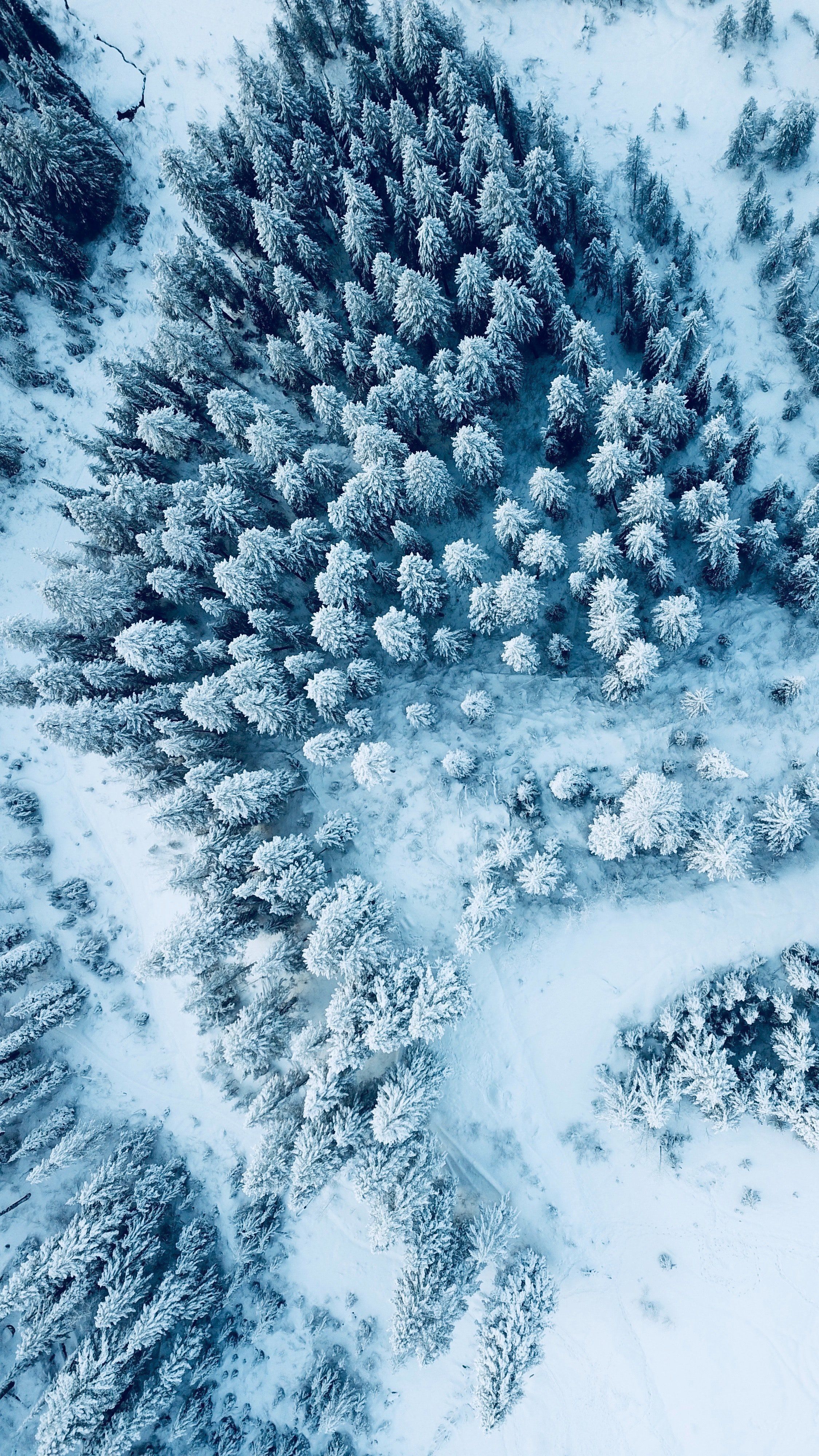 2250x4000  Snow Phone Wallpapers - Wallpaper Cave