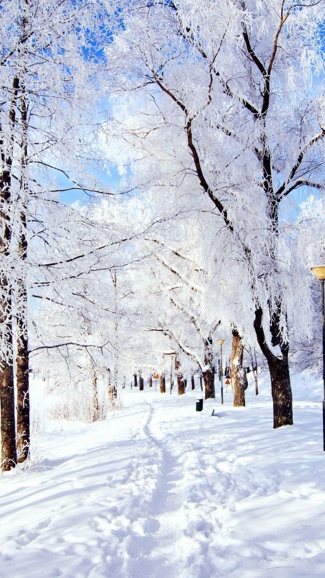 1080x1920   тропа деревья снег мороз день зима | Зимние снежные обои Iphone wallpaper winter Winter wallpaper