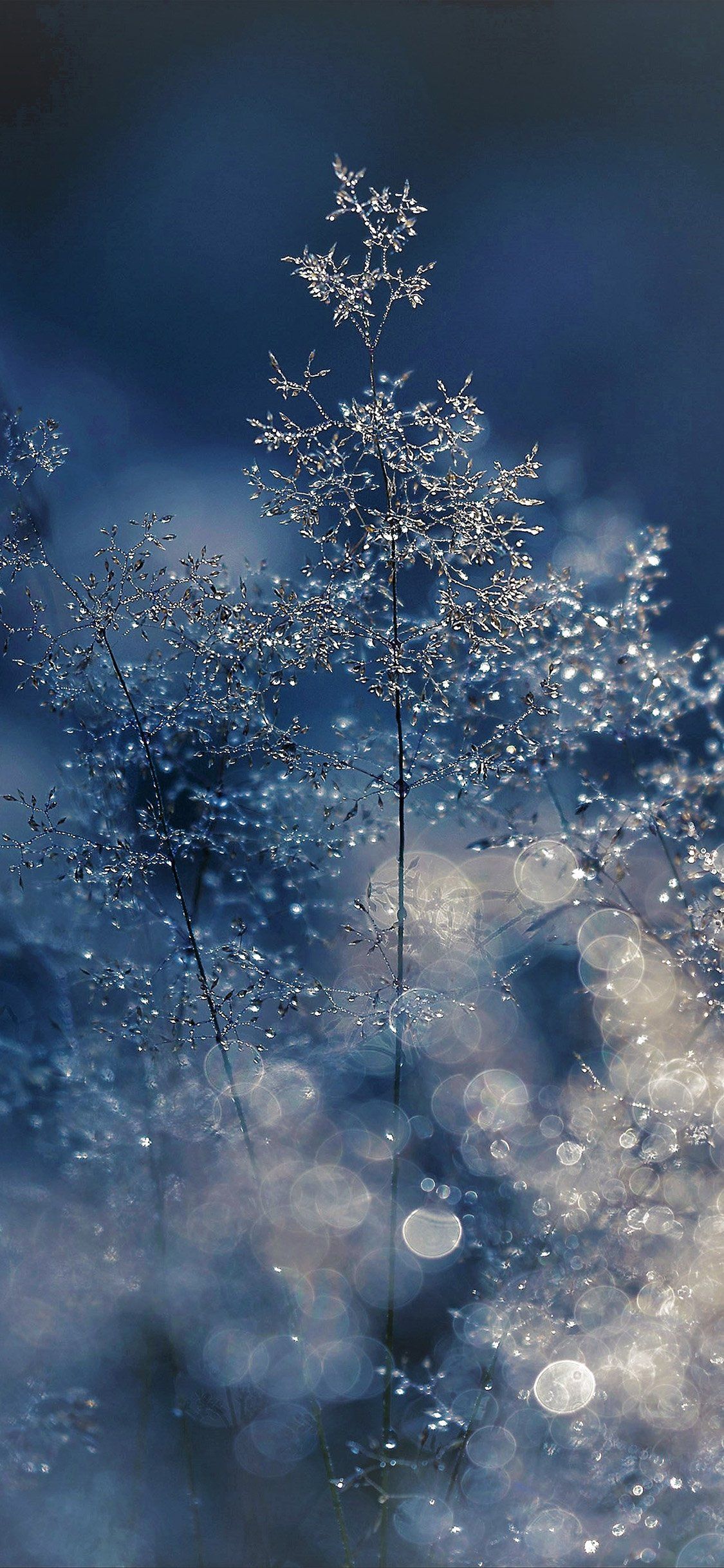 1125x2436  iphone wallpaper nature-407 | Аниме обои телефон Iphone wallpaper winter Snow wallpaper iphone