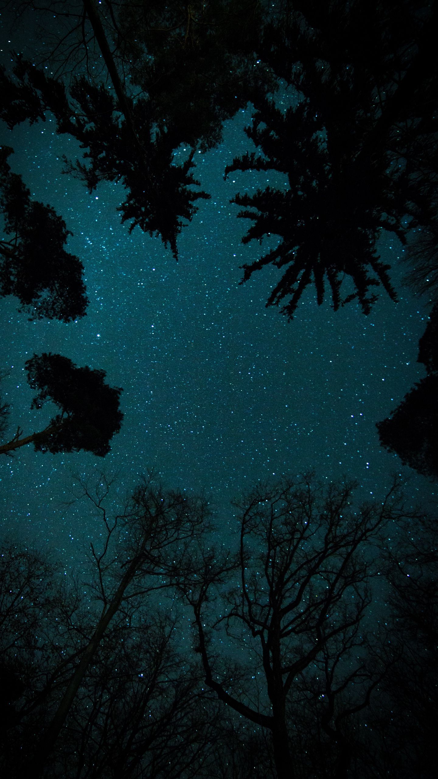 1440x2560  Night sky #Tapete # Телефон #android #Hintergrund #followme #android #backgroundiphonegala A… в 2020 | Ночное небо обои Iphone wallpaper sky Эстетические обои iphone