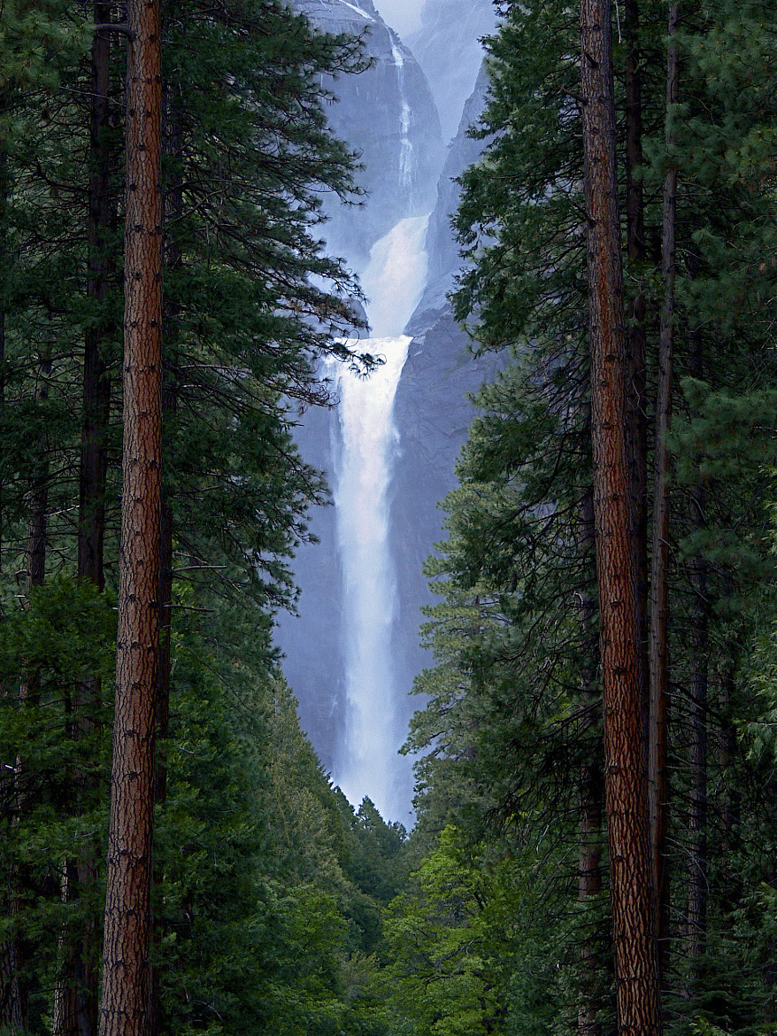 878x1170 The Paper Pile - Forest and Waterfall - Phone Wallpaper More paper ...