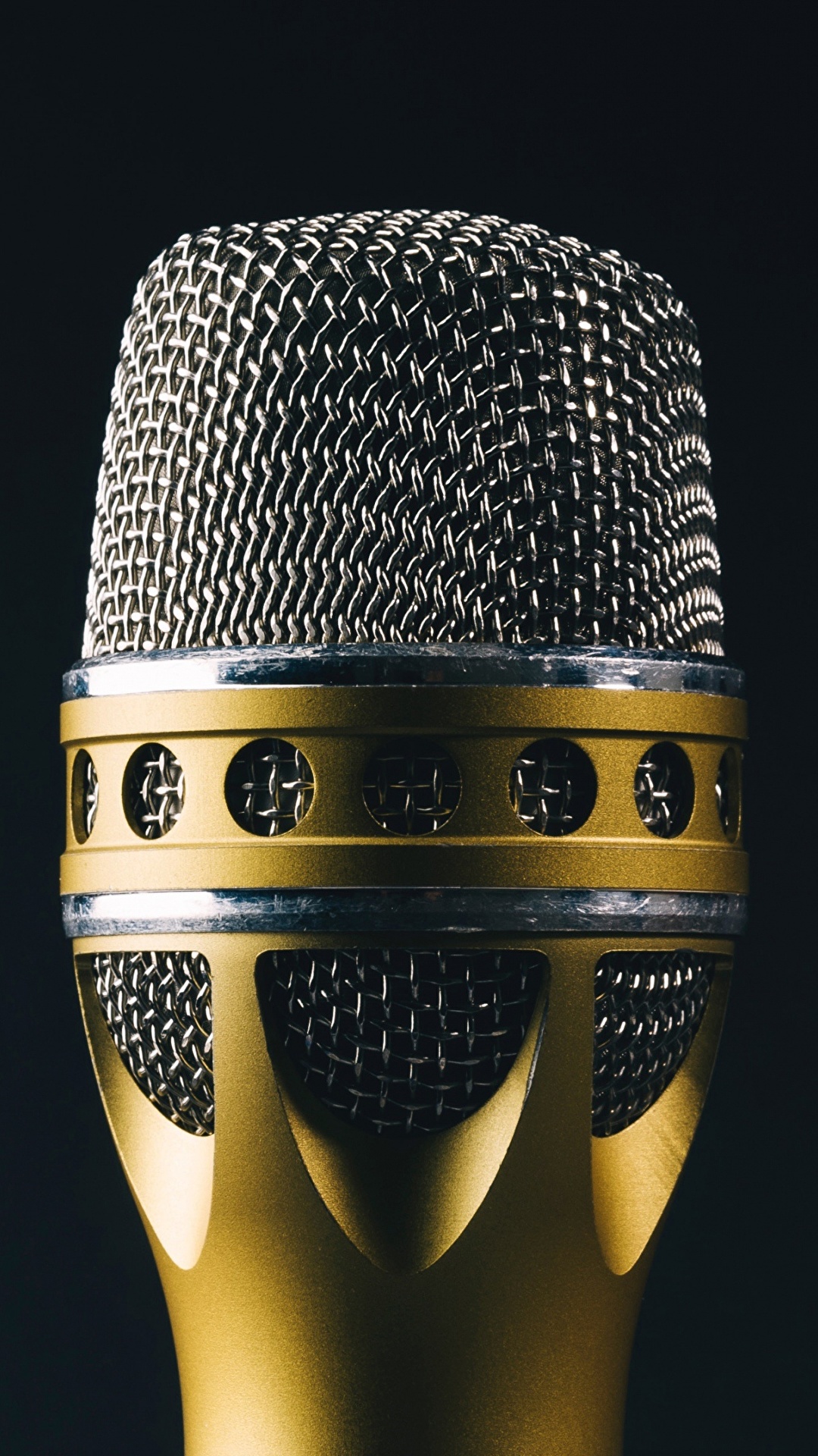 1080x1920   Обои для рабочего стола mic крупным планом 1080x1920