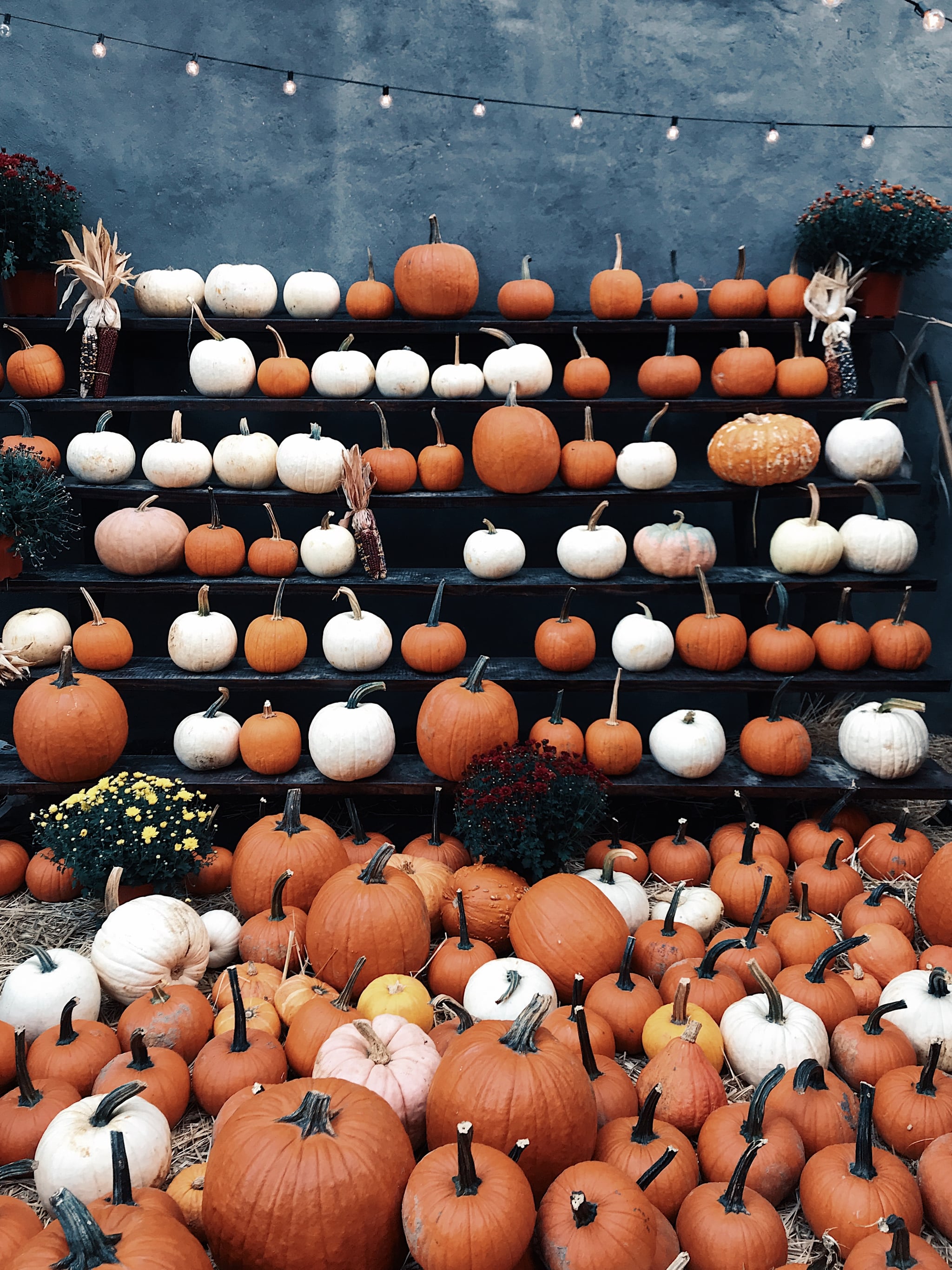 2048x2731  Pumpkin Patch iPhone Обои | 50 осенних обоев для iPhone, которые мгновенно заставят вас почувствовать себя уютно | POPSUGAR Tech Photo 30