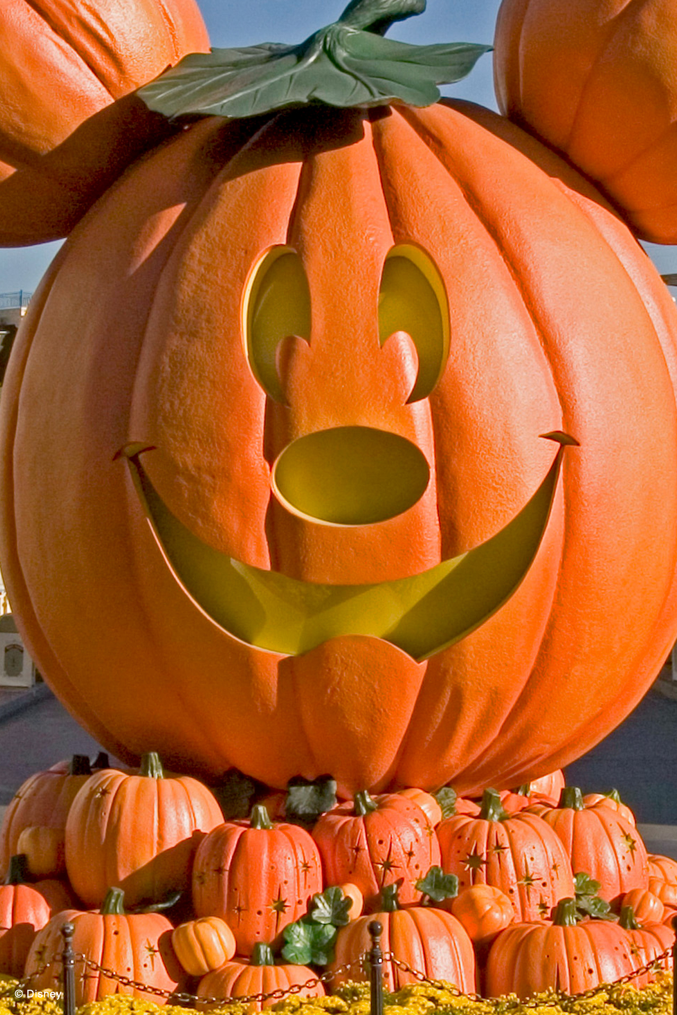 1336x2003  PHOTOS: Новые обои для Хэллоуина PhotoPass теперь доступны из Уолта Диснея и Диснейленда - Новости WDW сегодня