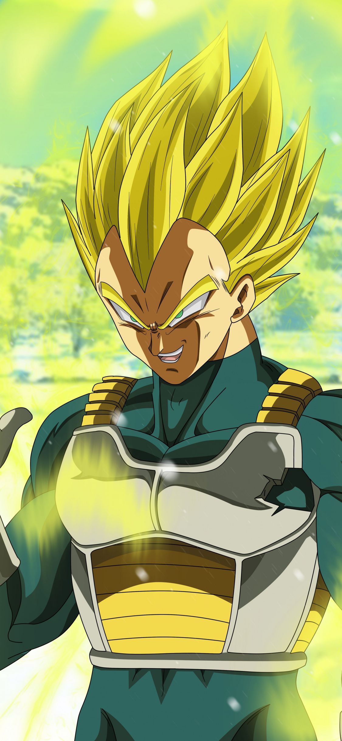 1125x2436  Vegeta Wallpaper HD для Андроид - скачать APK