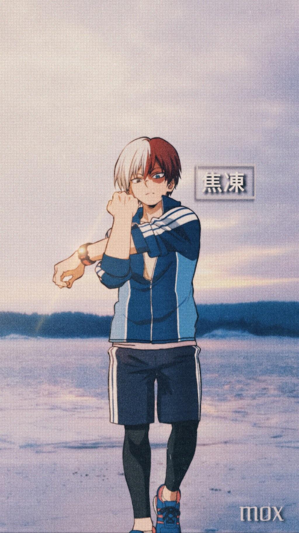 1024x1820  Shoto Todoroki Wallpaper