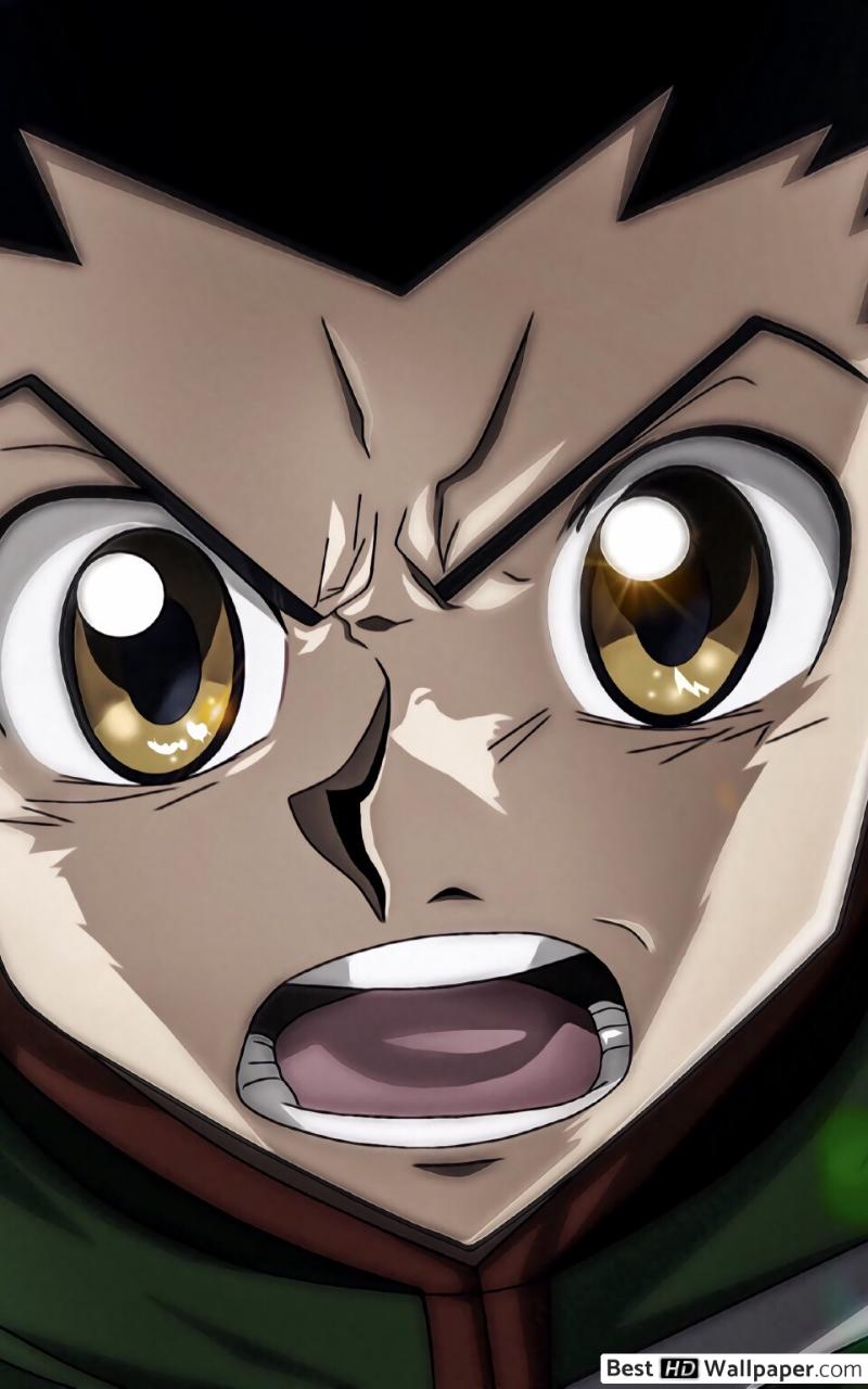 800x1280  Hunter X Hunter - Gon Freecs HD обои скачать