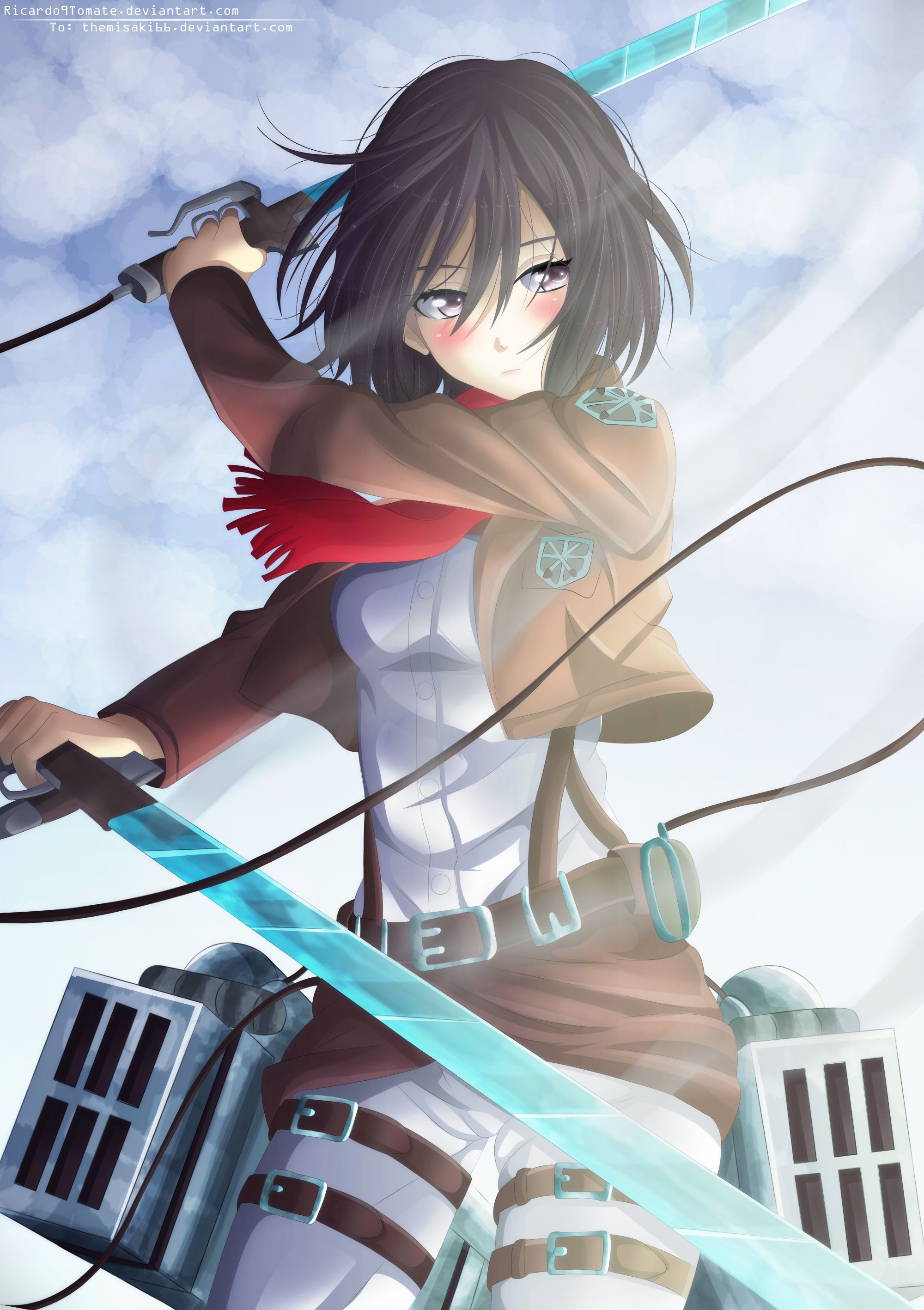 2000x2835  Mikasa Phone Wallpapers - Top Free Mikasa Phone Backgrounds - WallpaperAccess