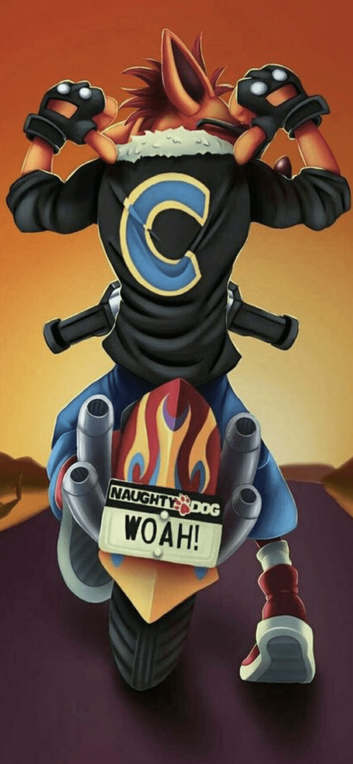 1125x2436  Crash Bandicoot iPhone Wallpapers / Wallpaper Cave Bandicoot N. Sane Trilogy (1080x1920) ID обоев: 707642 - Mobile Abyss