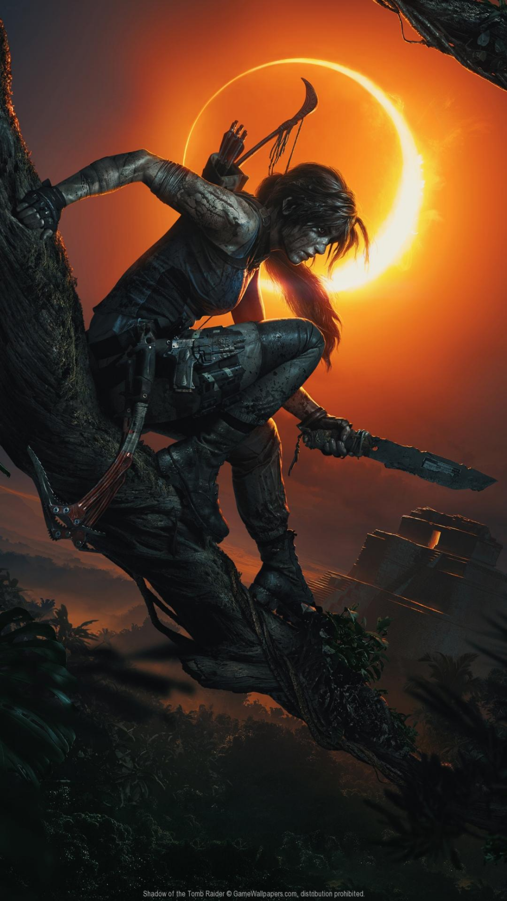 1000x1777  Iphone обои Rise Of The Tomb Raider Лара Крофт - Расхитительница гробниц обои Android - 1080x1920 Обои - teahub.io 
