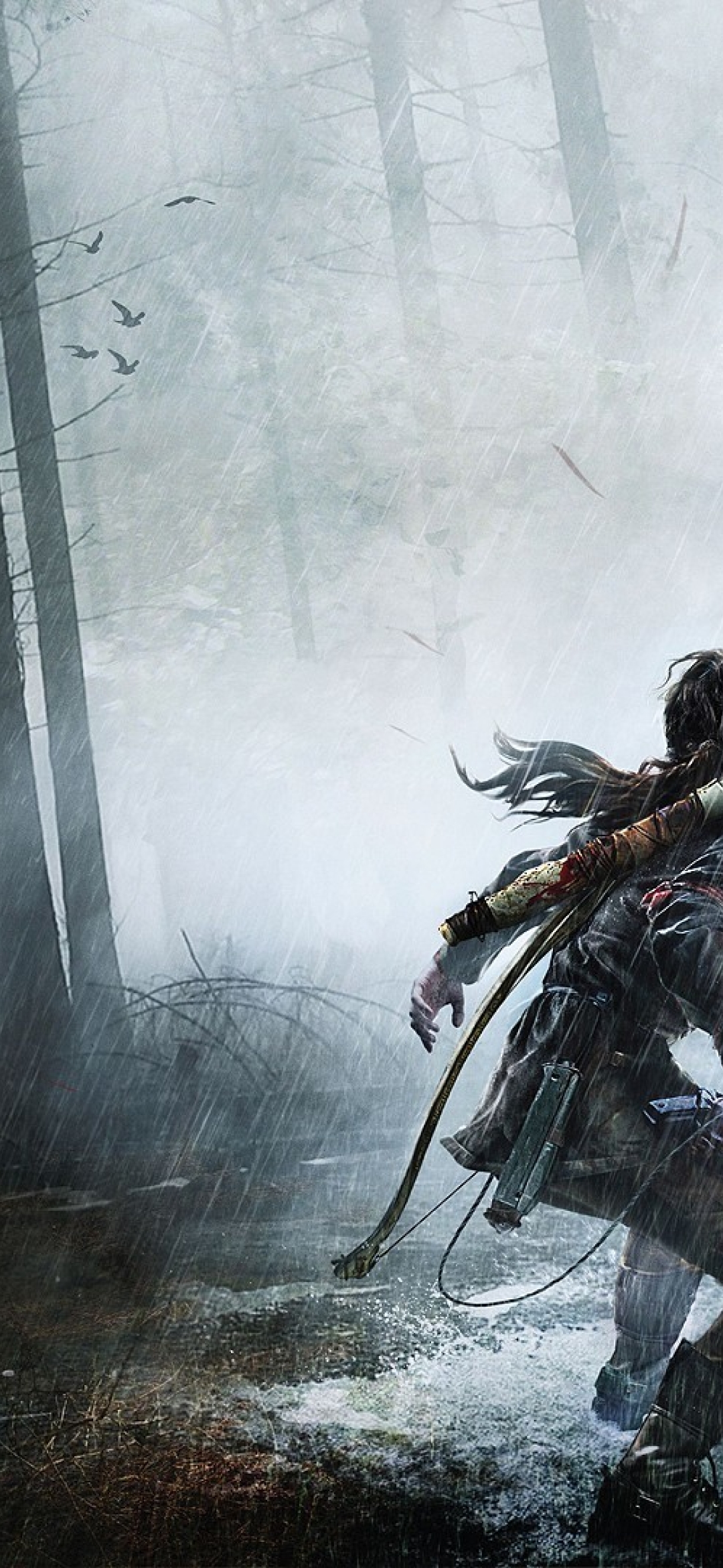 1080x2340  Rise of the Обои для рабочего стола Tomb Raider - Лучшие бесплатные обои для рабочего стола Rise of the Tomb Raider - wallpaper8k.com 