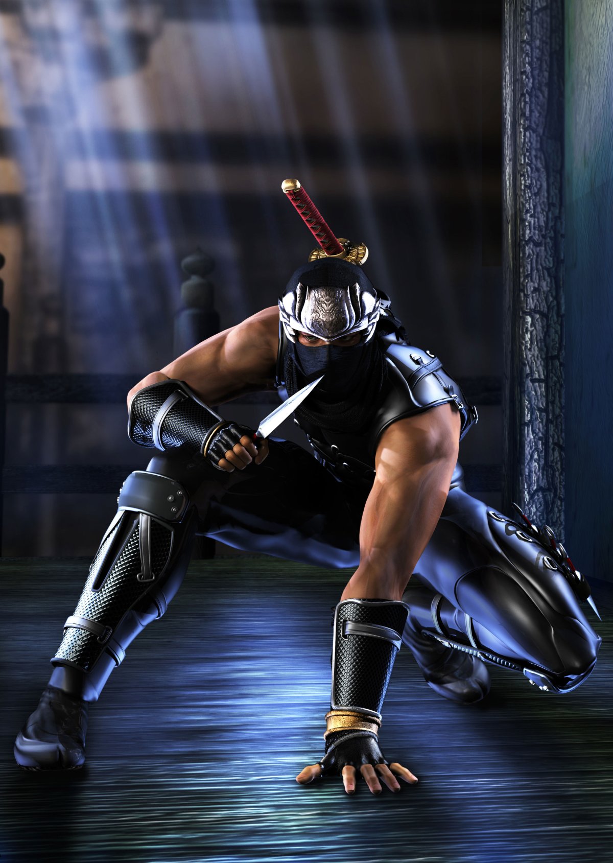 1200x1689  Ryu Hayabusa - Ninja Gaiden - Zerochan Anime Image Board 