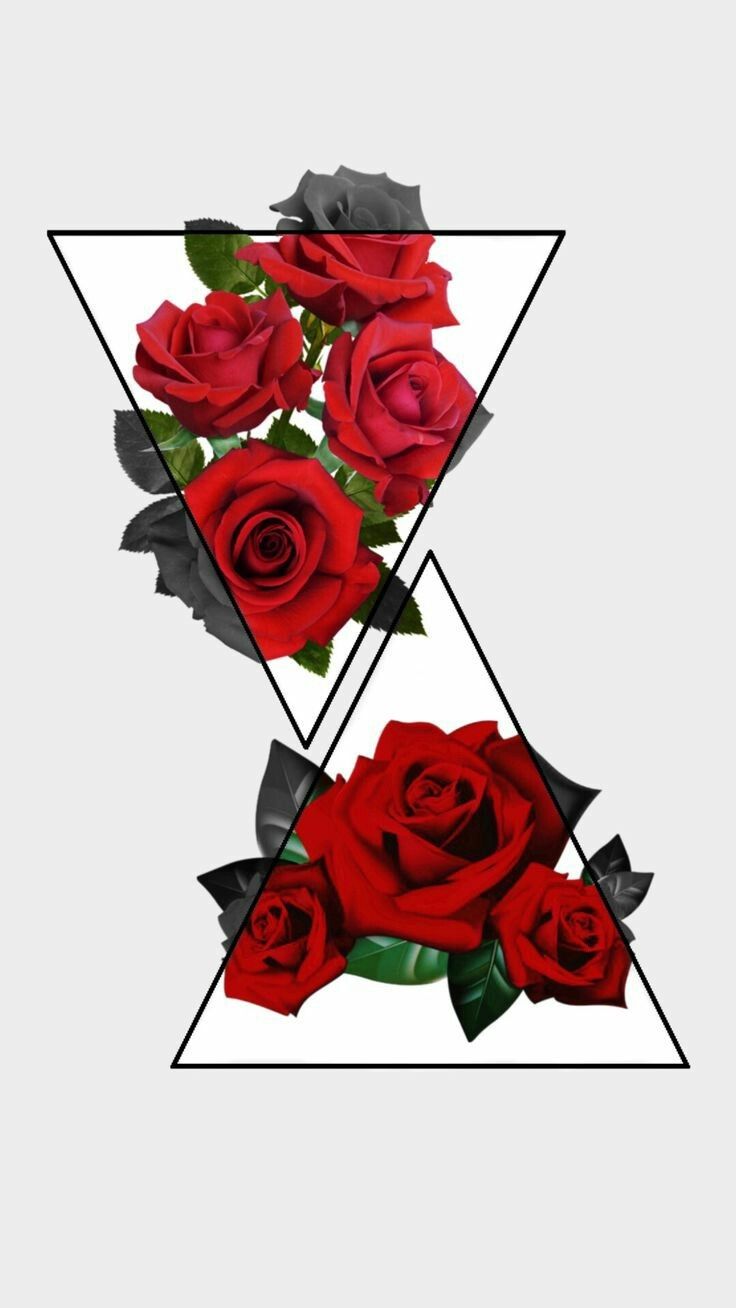 736x1308  Red Rose Aesthetic Wallpaper Hd