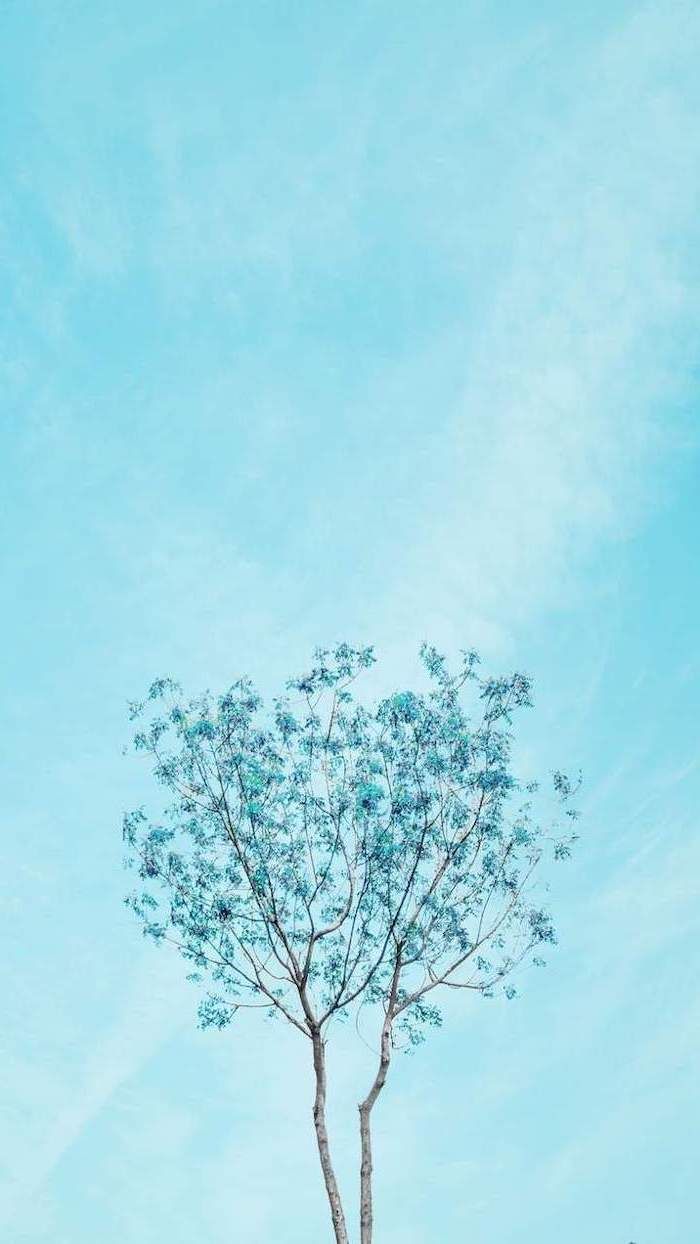 700x1244  Pastel Blue Aesthetic iPhone Обои на WallpaperDog