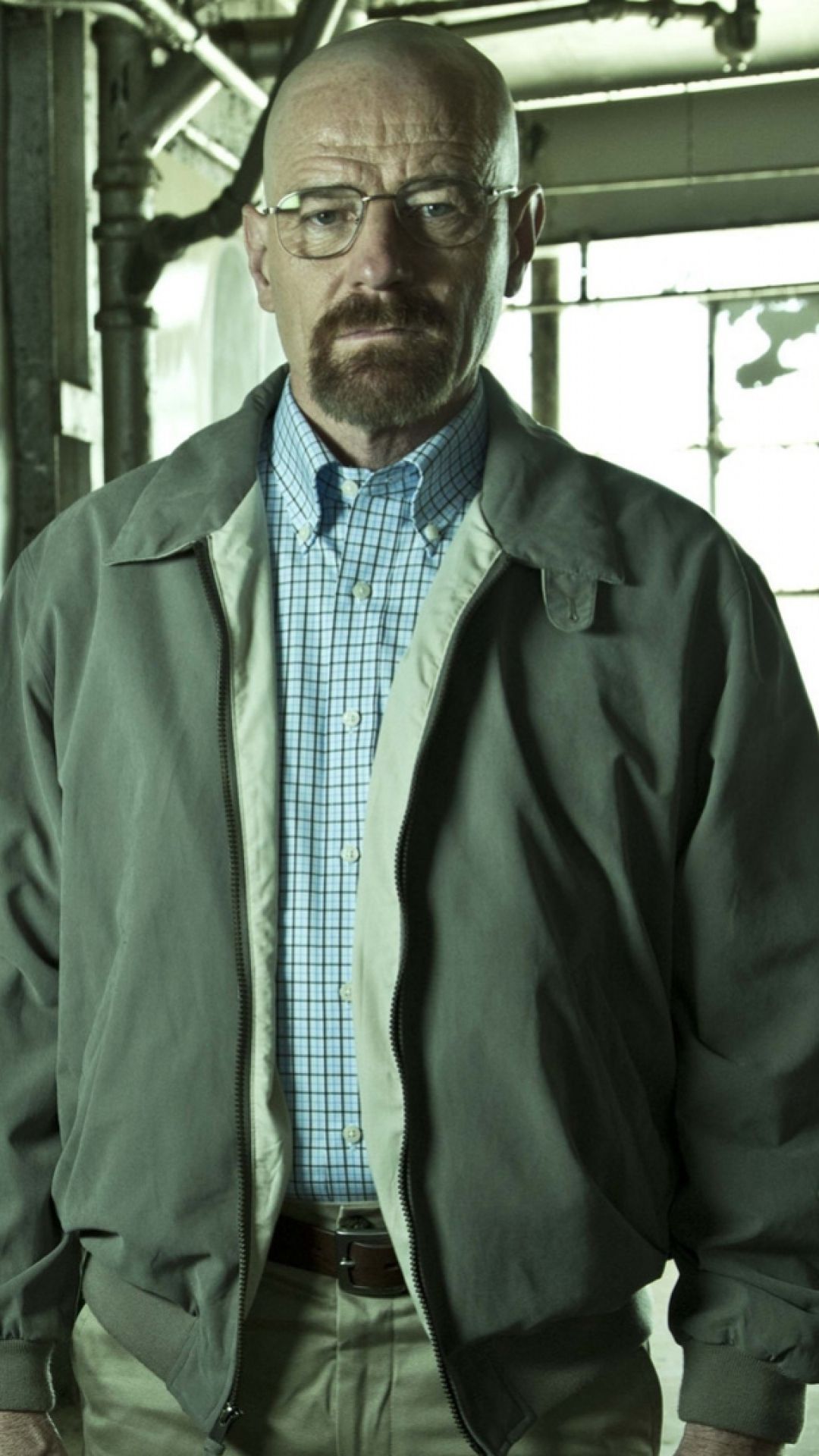1080x1920  TV Show / Breaking Bad (750x1334) ID обоев: 244519 - Mobile Abyss 