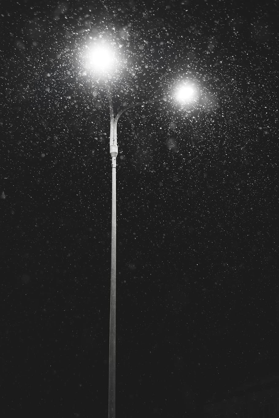 910x1365   Во все тяжкие \ Фелина (телесериал 2013) - Фотогалерея - IMDb