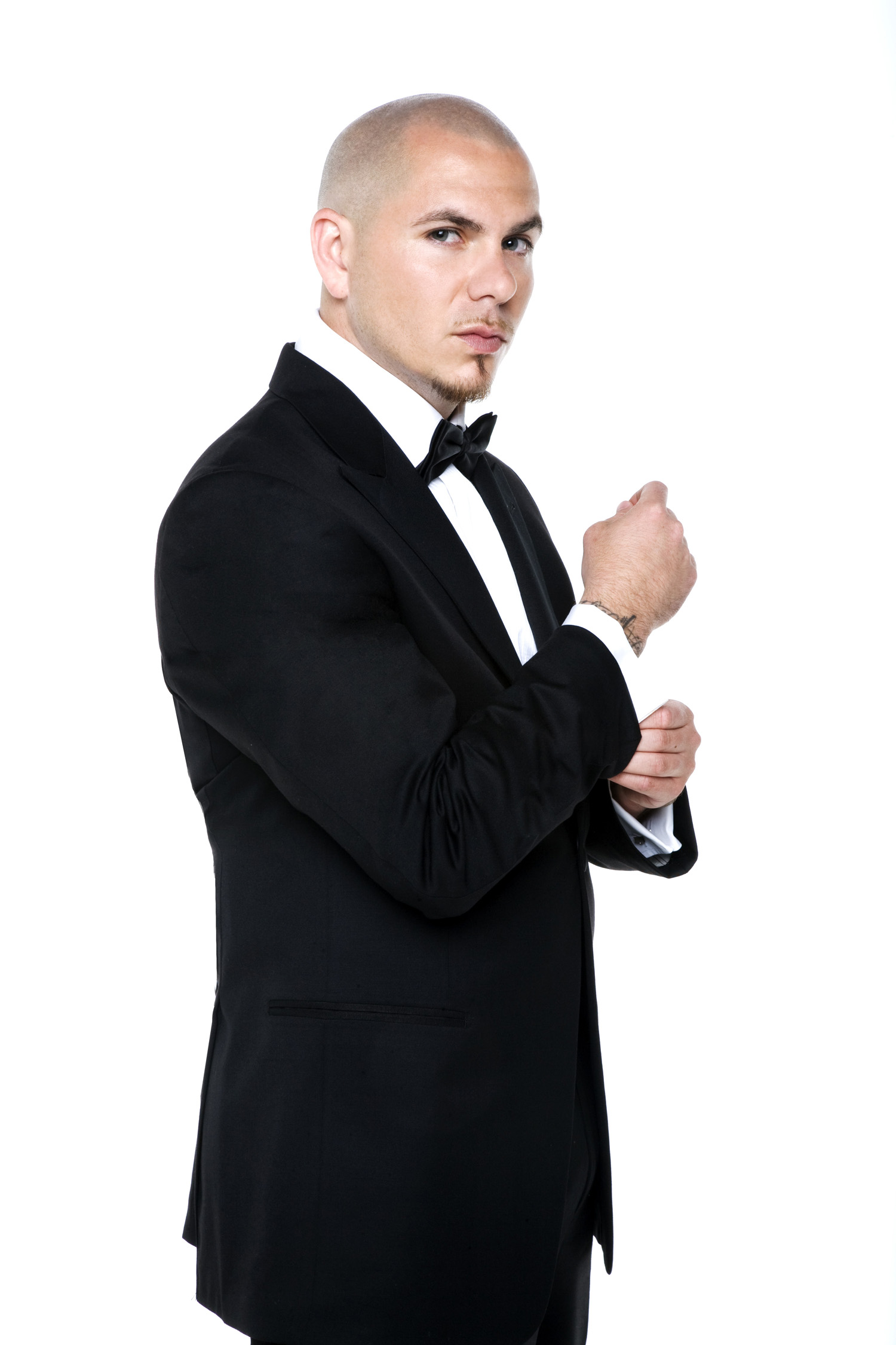 1500x2250   74+] Обои Pitbull Rapper на обояхSafari