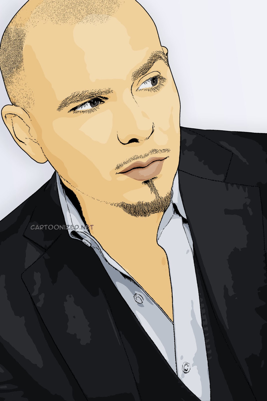 1067x1600   74+] Pitbull Rapper Wallpaper на WallpaperSafari