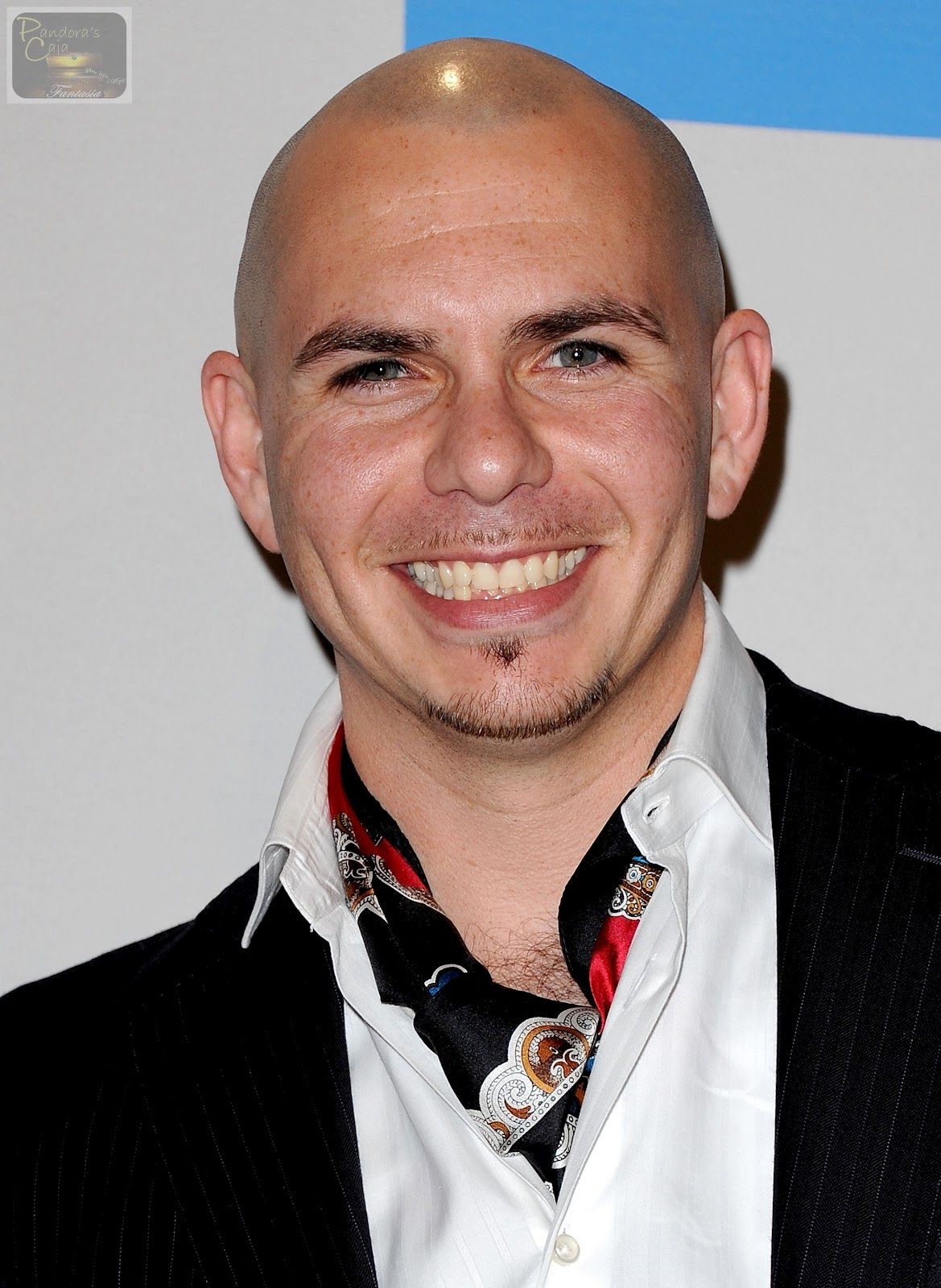 1169x1600  Pitbull Singer Wallpaper - KoLPaPer - Великолепные бесплатные обои HD