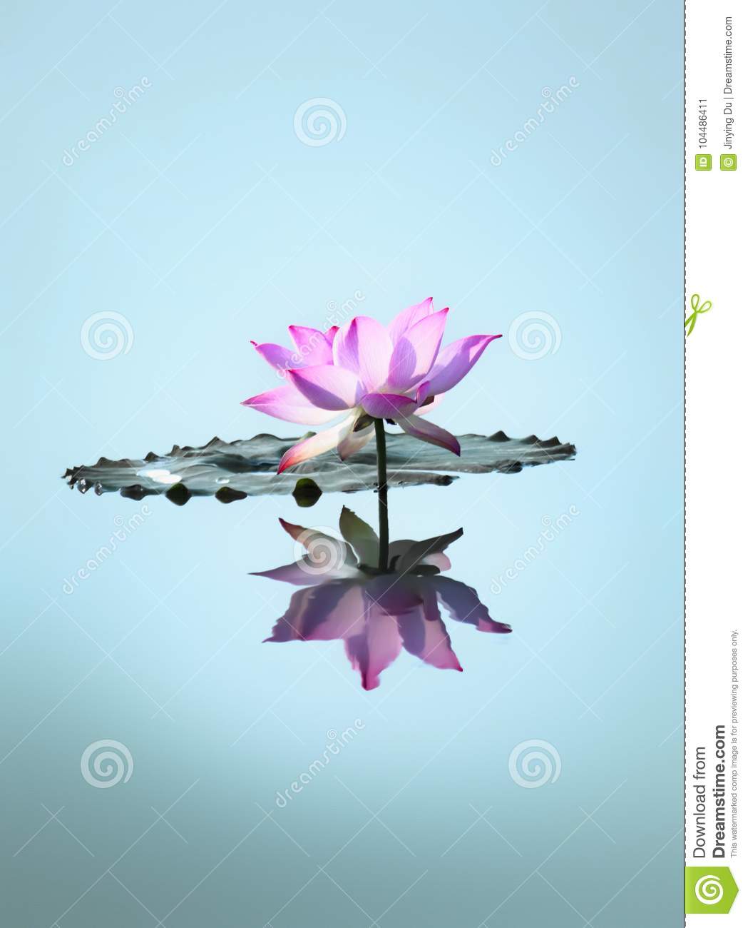 1049x1300   50+ Красивые обои с природой, фоны для телефонов, которые отлично смотрятся 