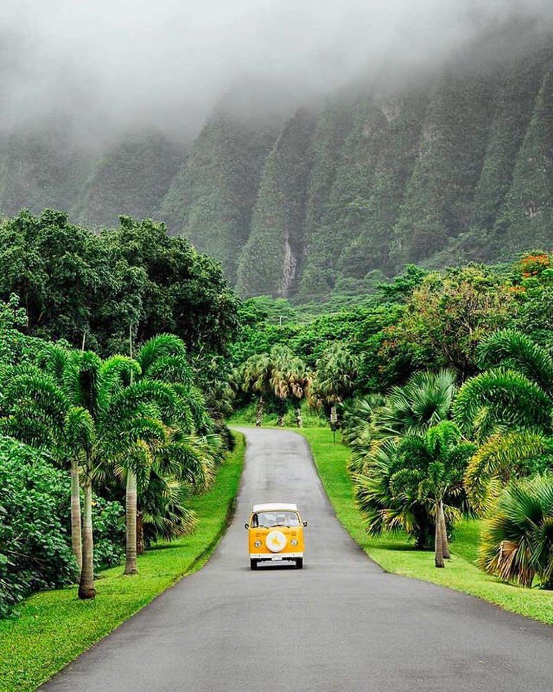 1080x1350  Free обои для мобильных ПК идеально подходят для samsung и iphone - Bulearca.ro Torrente бесплатно Lasttorrents Список файлов Utorrent