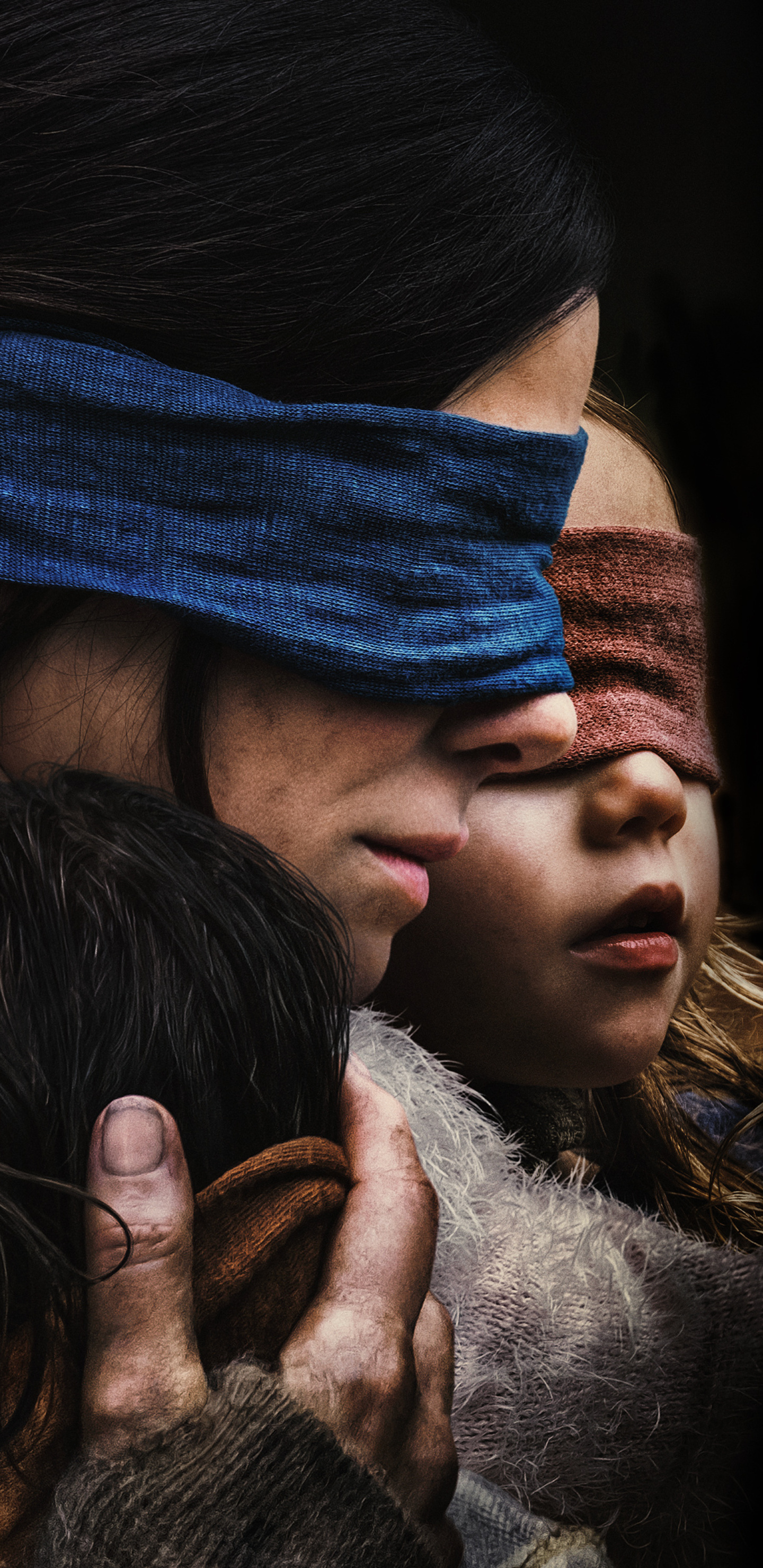 1440x2960  1440x2960 Bird Box 2018 Samsung Galaxy Note 
