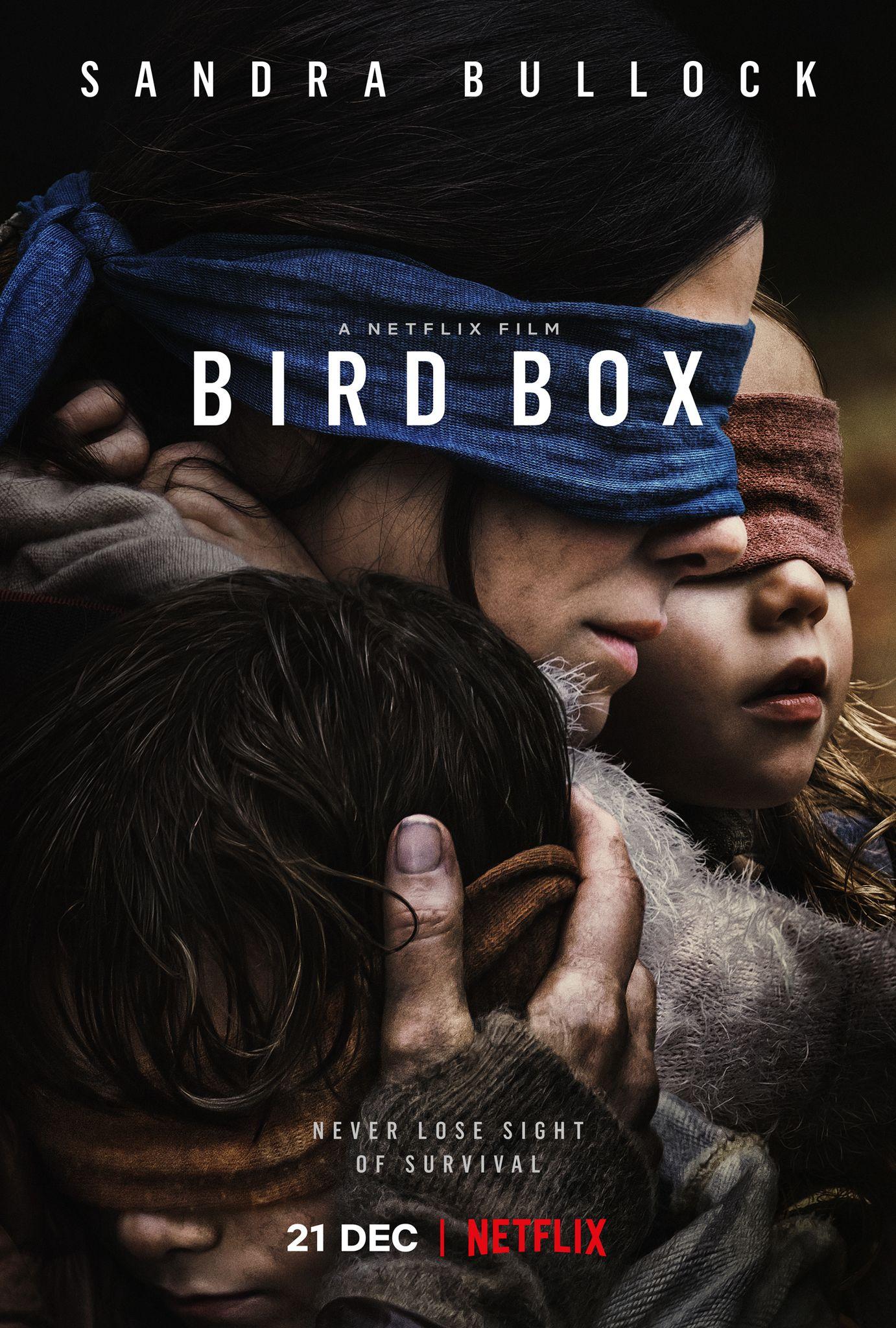 1382x2048  Bird Box стола - Лучшие бесплатные фоны Bird Box - WallpaperAccess