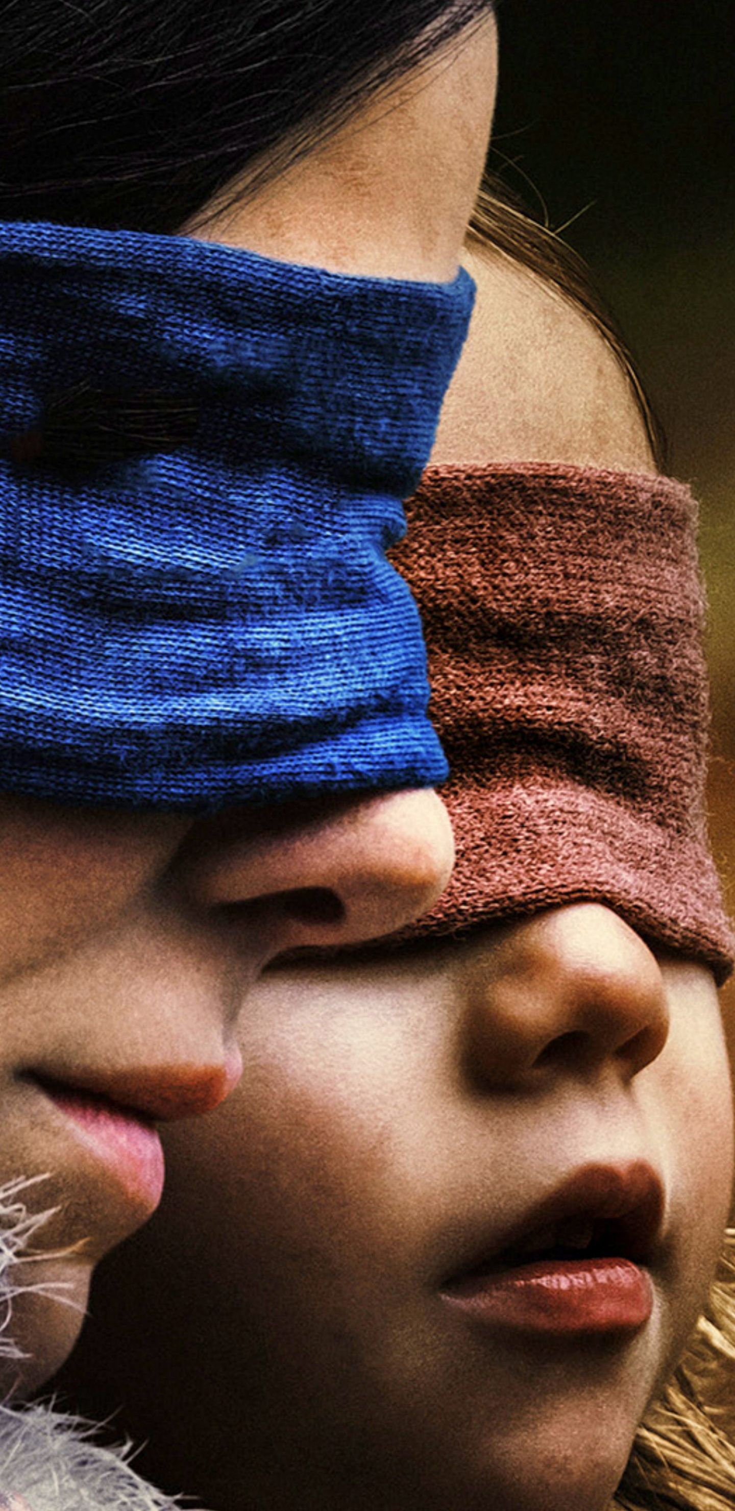 1440x2960  Bird Box стола - Лучшие бесплатные фоны Bird Box - WallpaperAccess
