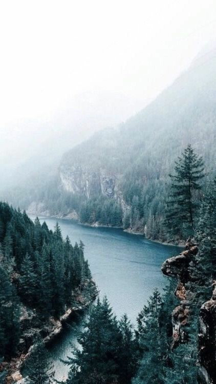 900x1600  Bird Box Fondos De Pantalla (# 3246741) - HD обои \ u0026 Скачать фоны Galaxy