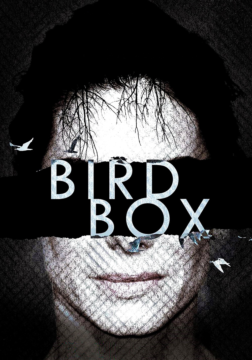 1000x1426  Bird Box | Фанарт из фильмов | fanart.tv 