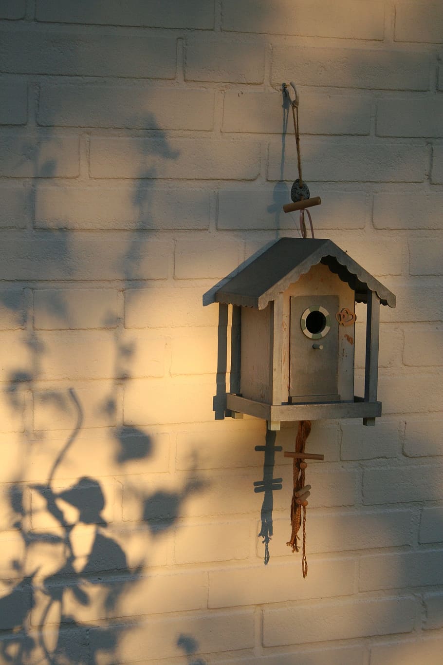 910x1365  HD обои: вольер украшения тени играть в кормушку для птиц стенка скворечника - особенность строительства | Wallpaper Flare