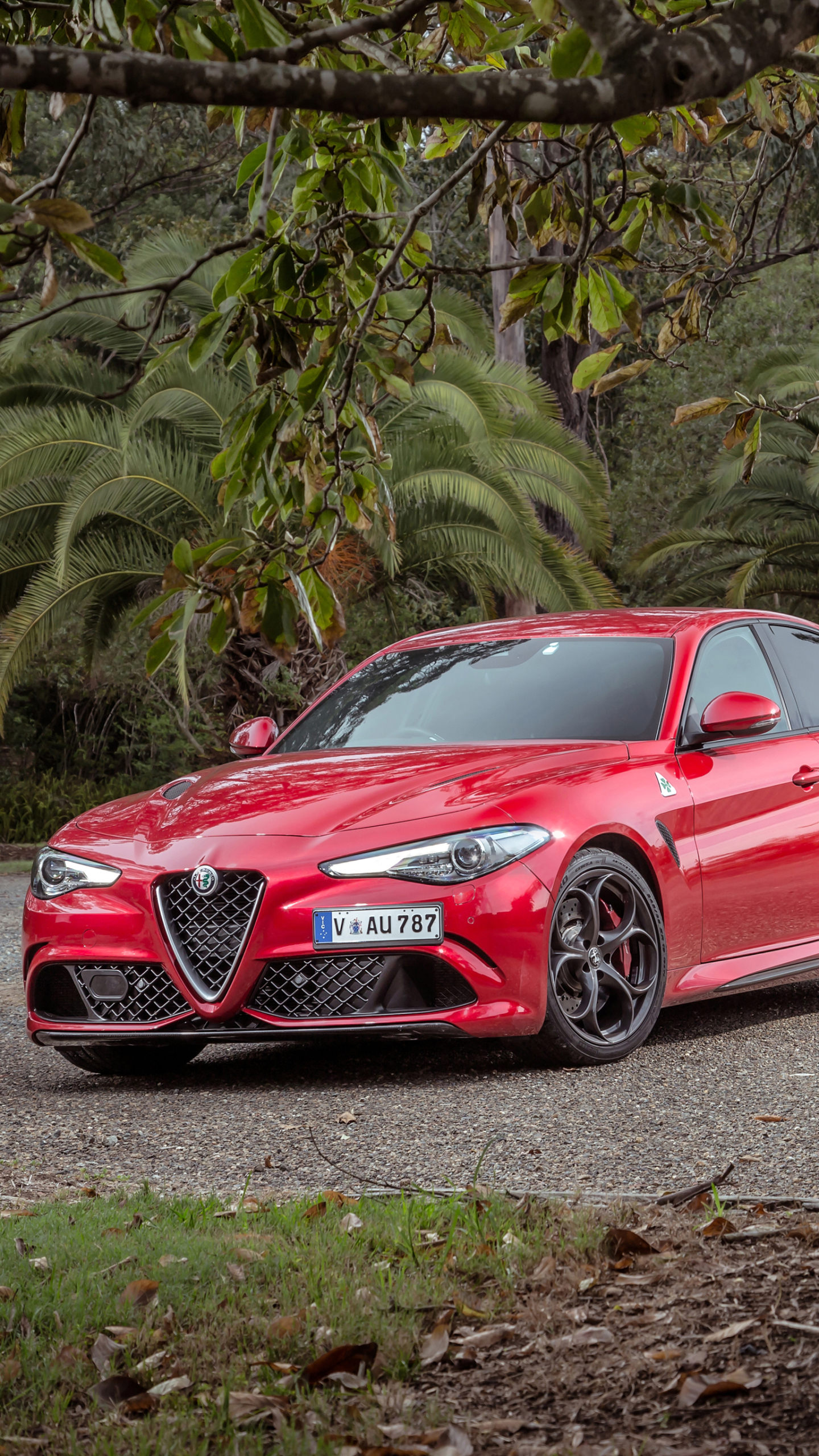 Alfa Romeo Giulia на фоне