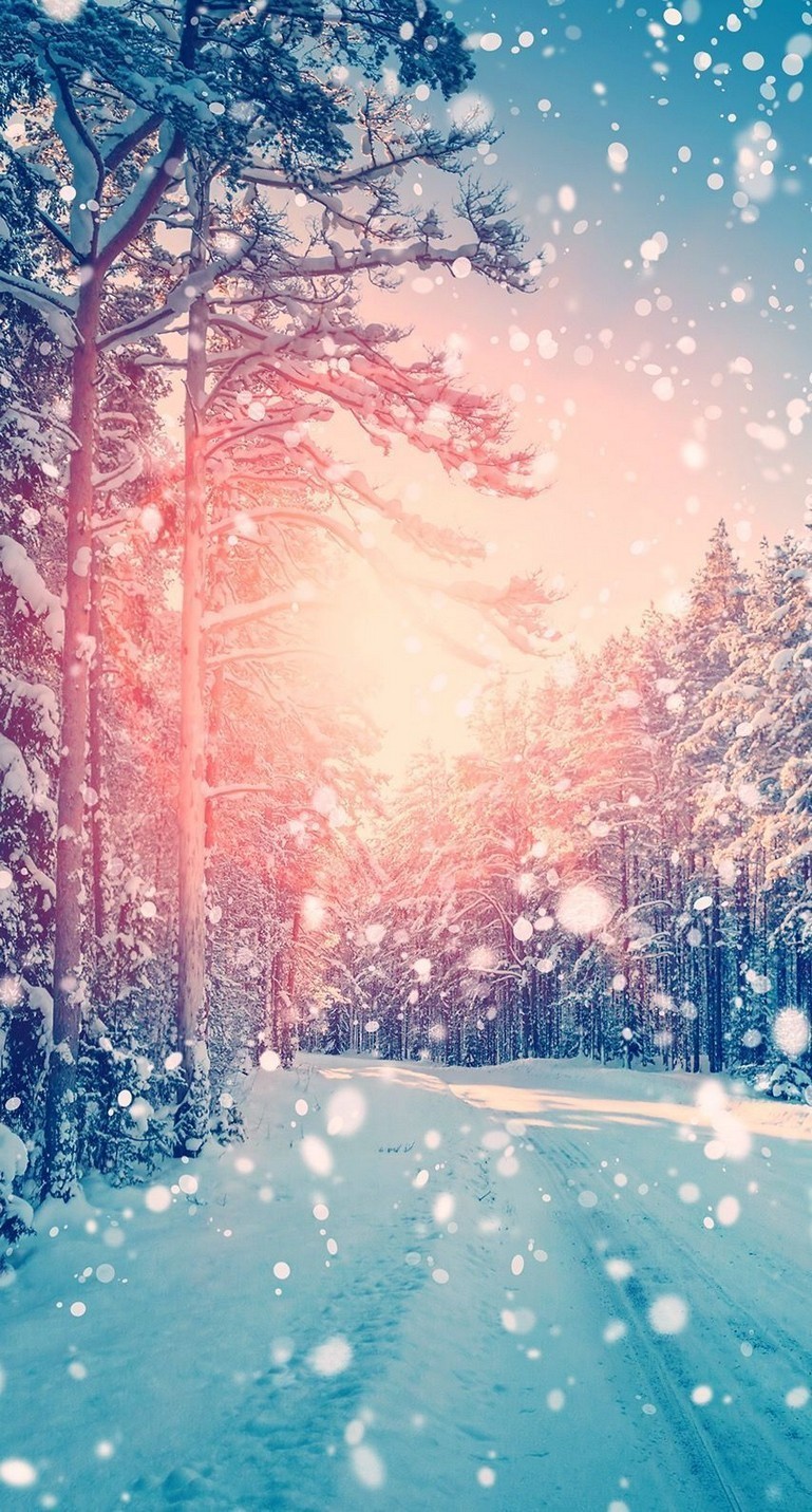 769x1431   Снегопадающие деревья iPhone Обои | Wallpaper iphone christmas 