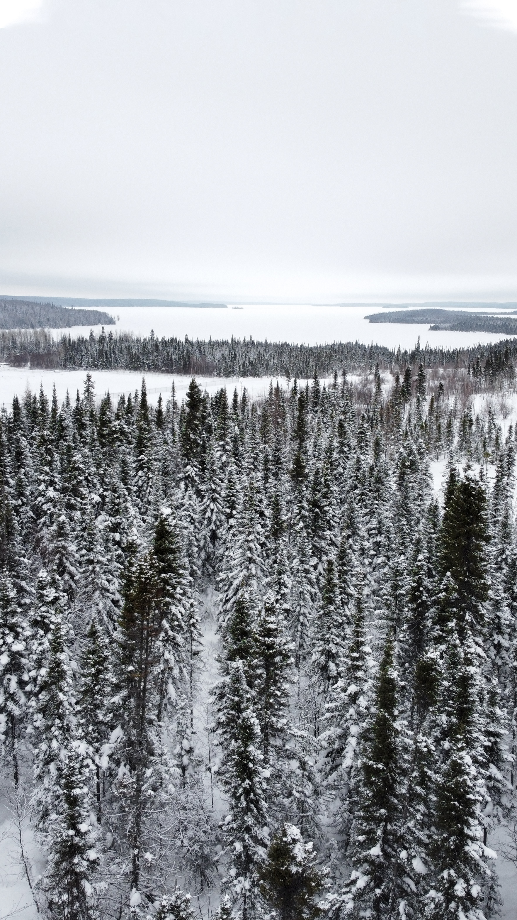 1764x3136   Мои новые обои для телефона благодаря Mavic Mini: djimavicmini