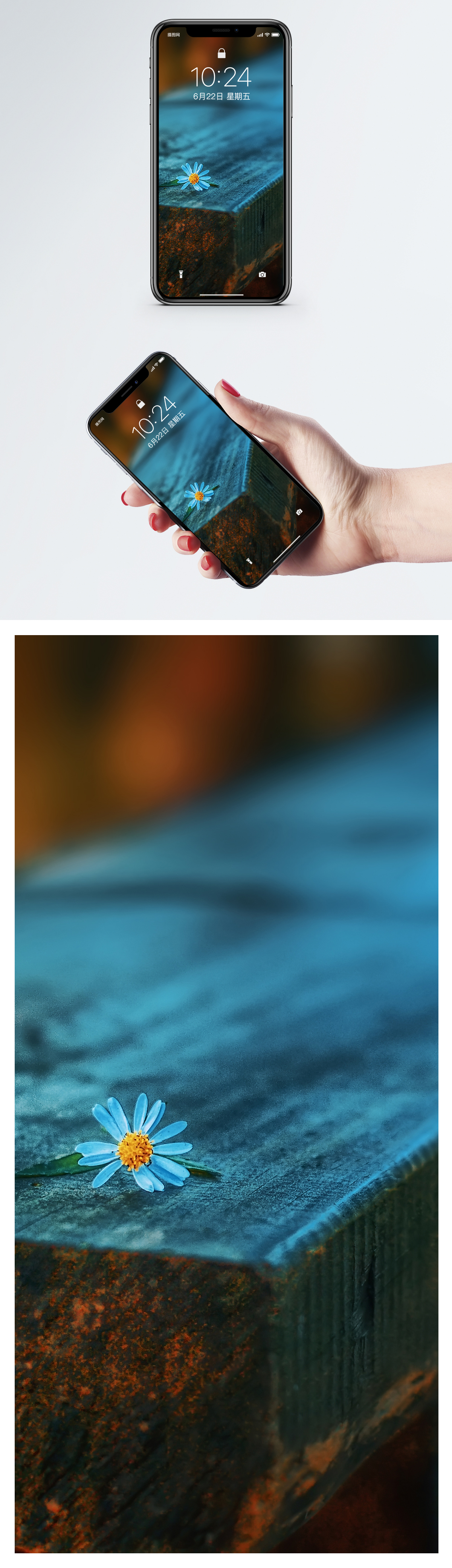 1200x4160  Small Flower Cell Phone Wallpaper фоновые изображения скачать бесплатно-400287461 -Lovepik.com 