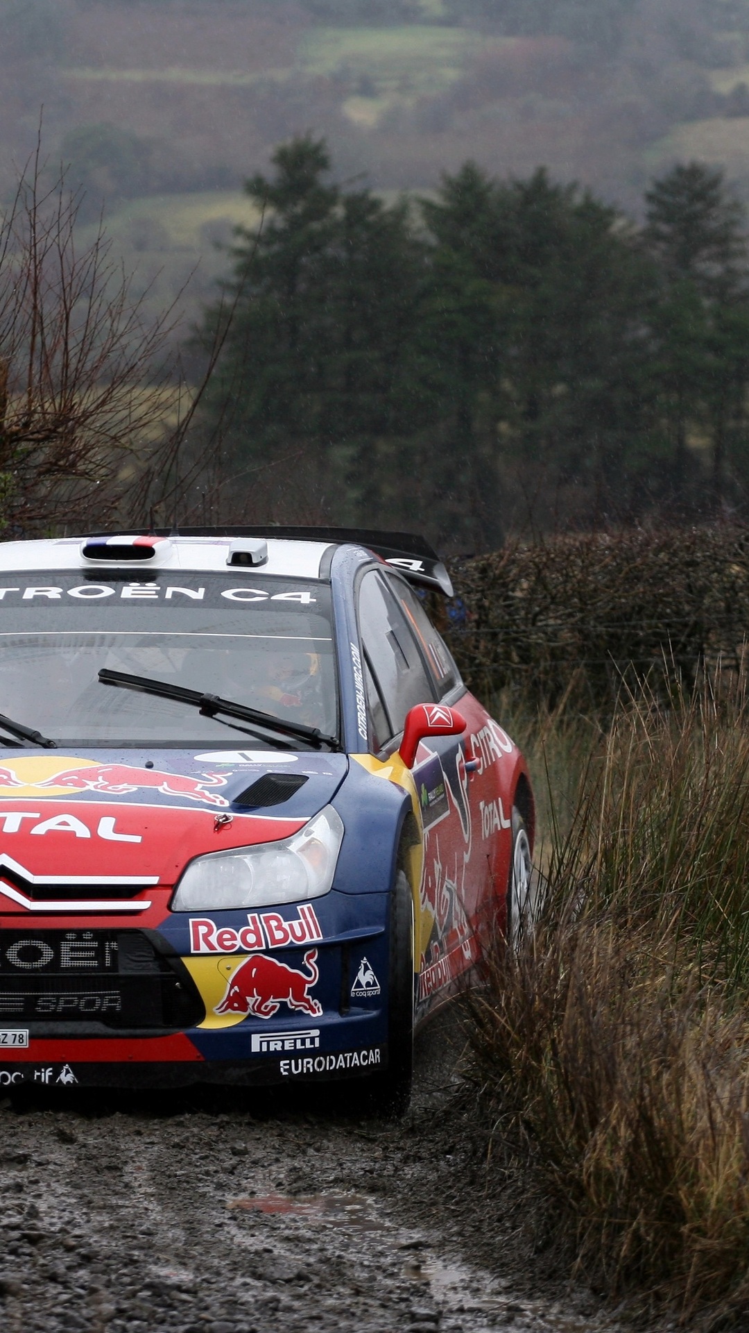 1080x1920   1080x1920 ds3 ралли Citroen грязь wrc обои для рабочего стола 4831 