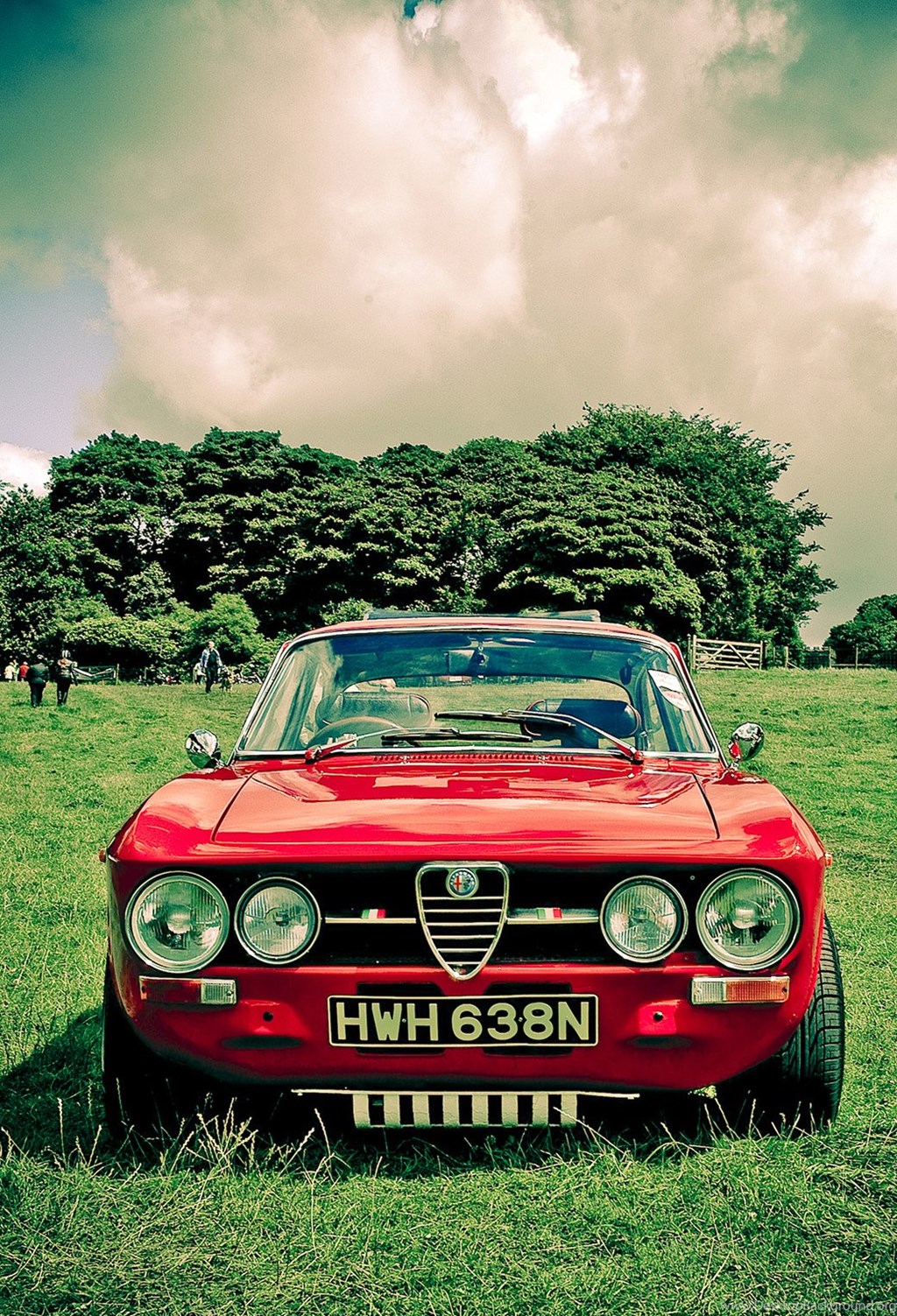 1024x1503   Alfa Romeo 155 DTM Phone Wallpaper