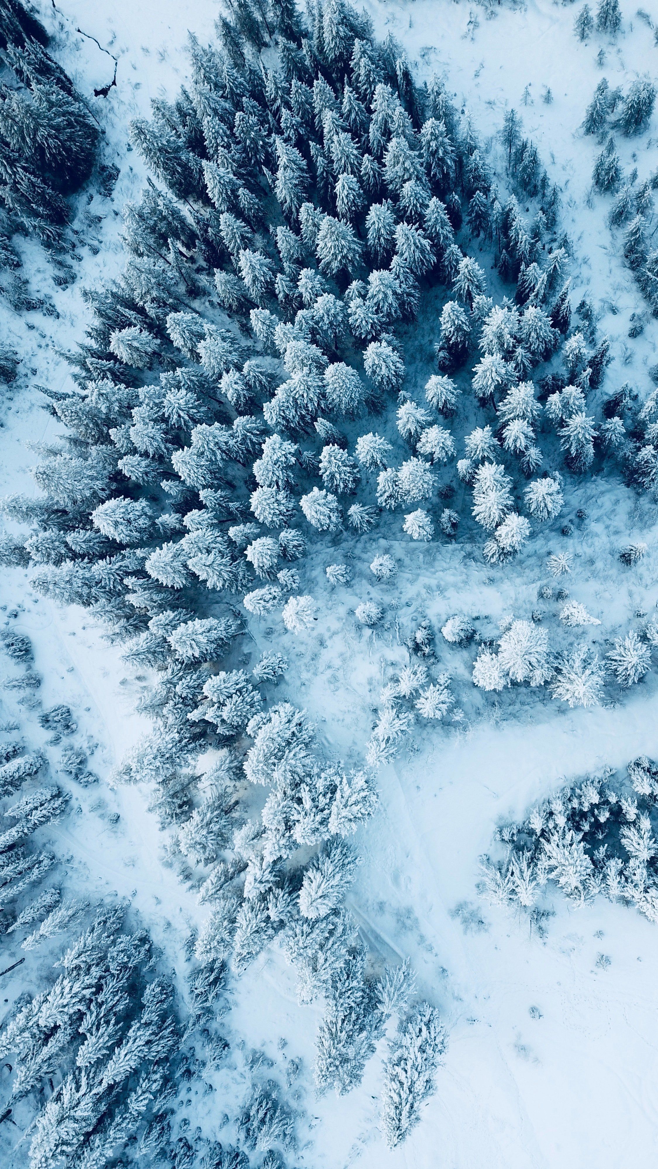 2250x4000   «Зимние фоны для Iphone HD | PixelsTalk.Net «