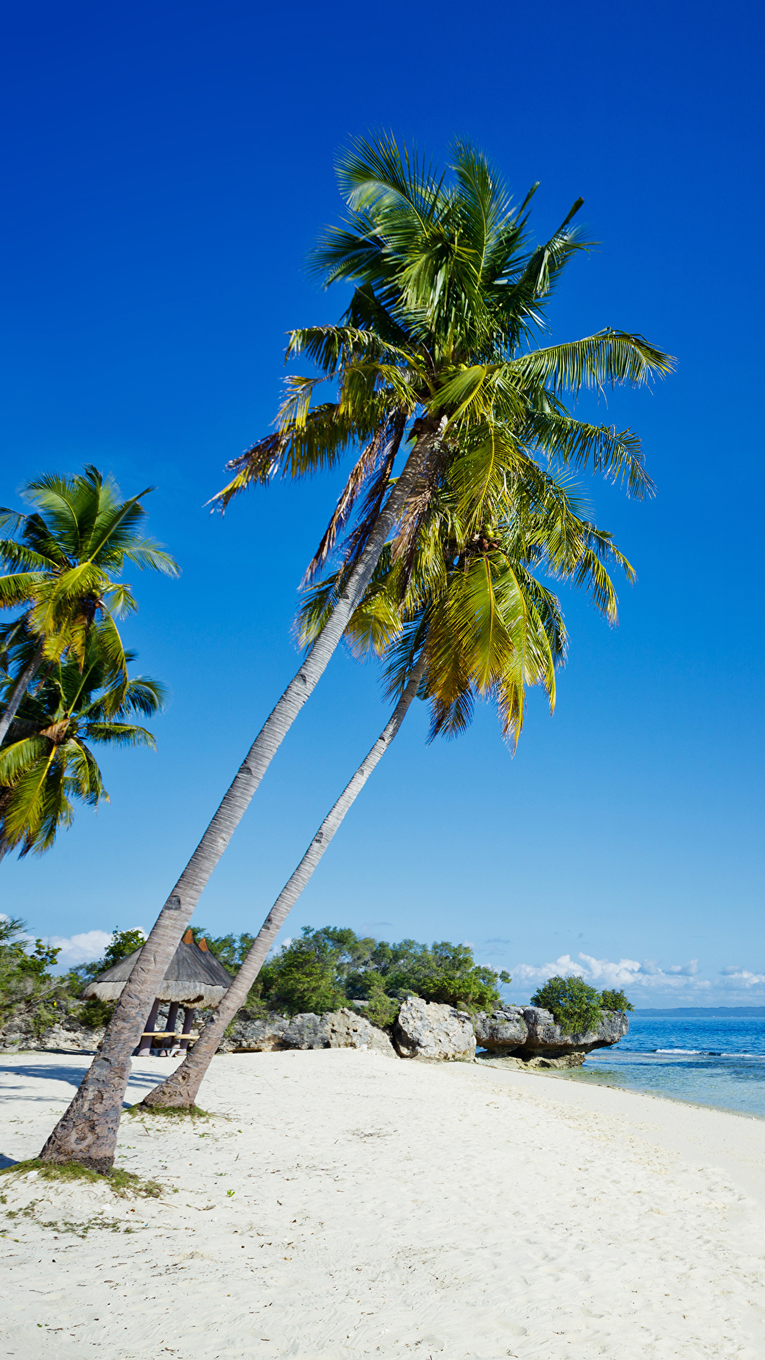 1080x1920   Изображения Филиппины Пляж Природа Песок Пальмы Тропики Побережье 1080x1920